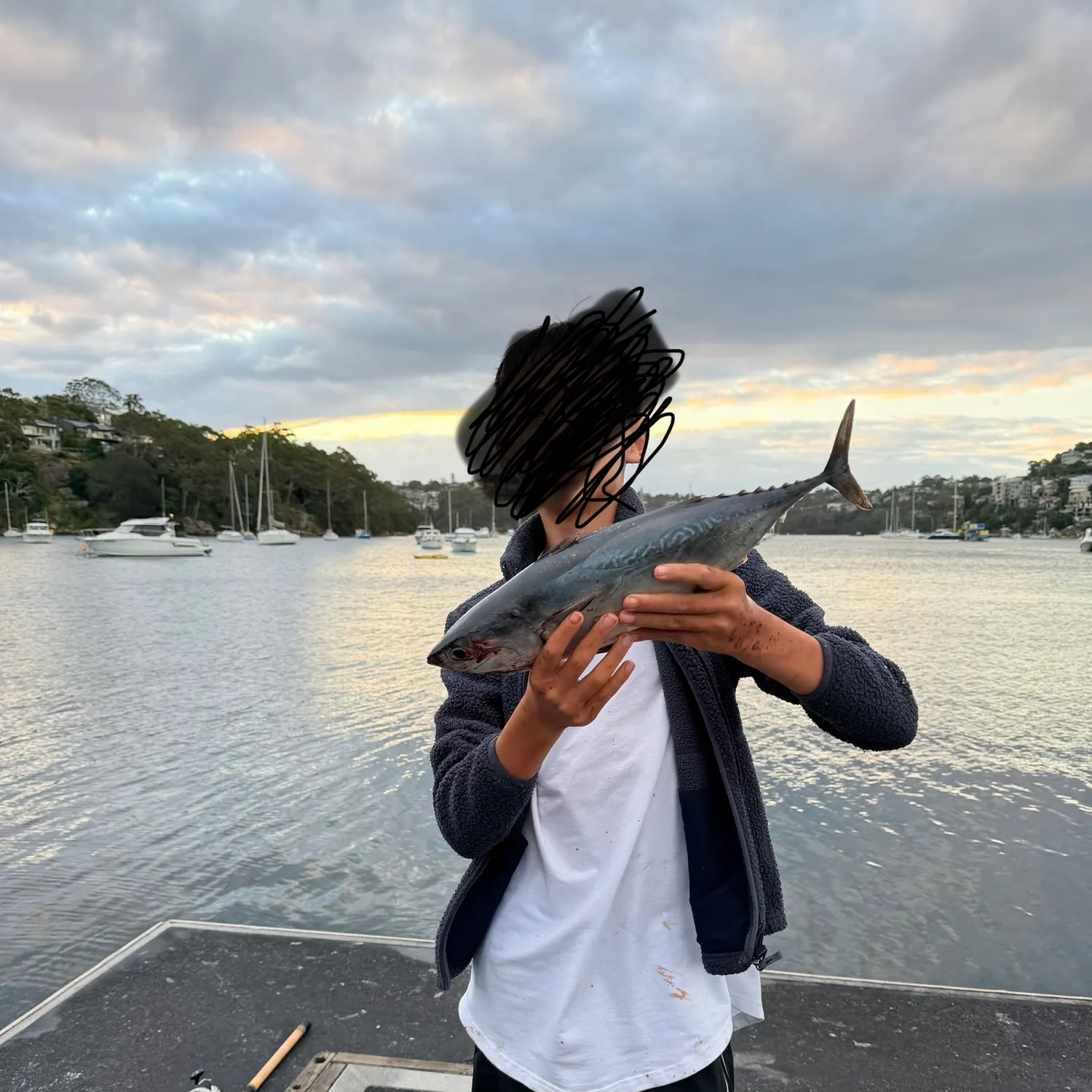 The most recent Kawakawa catches on Fishbrain