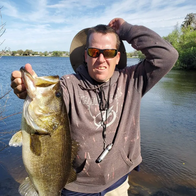 Largemouth bass caught on Fishbrain