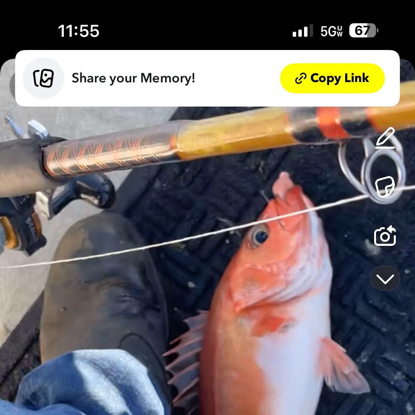 recently logged catches