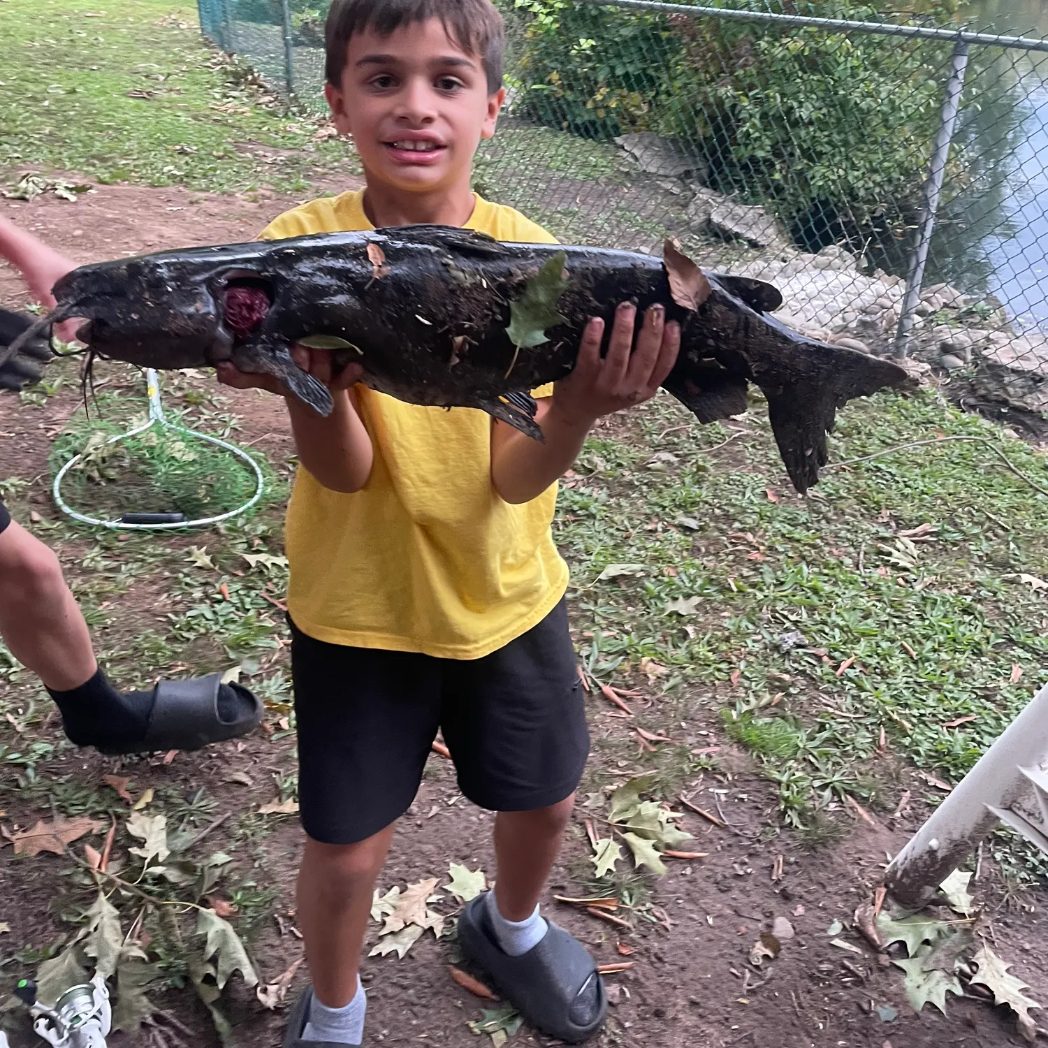 Fish caught on Fishbrain