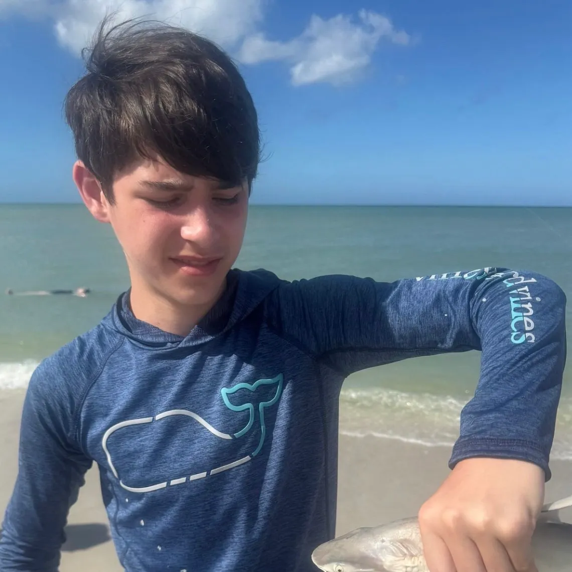 The most recent Bonnethead shark catches on Fishbrain