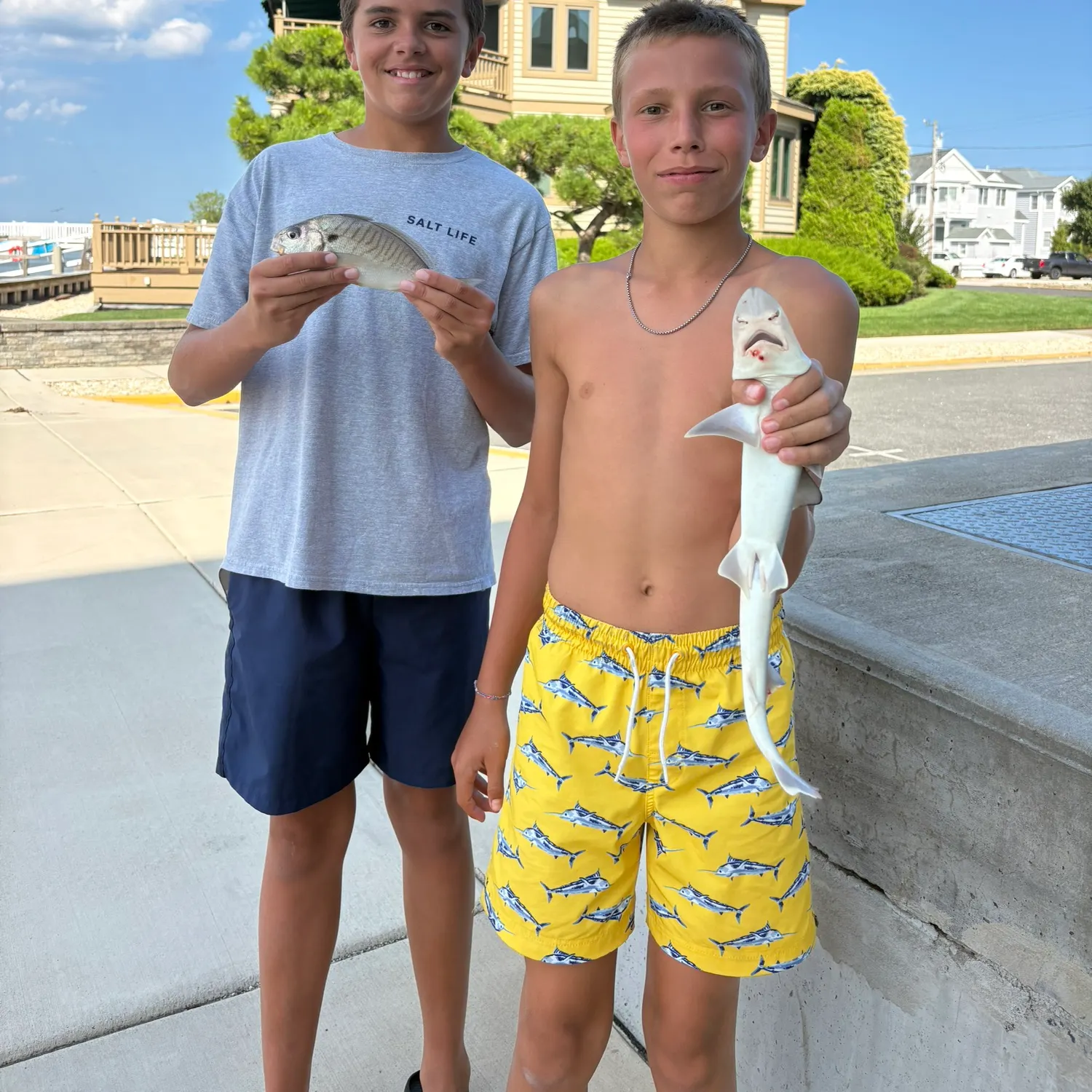 Dusky smooth-hound caught on Fishbrain