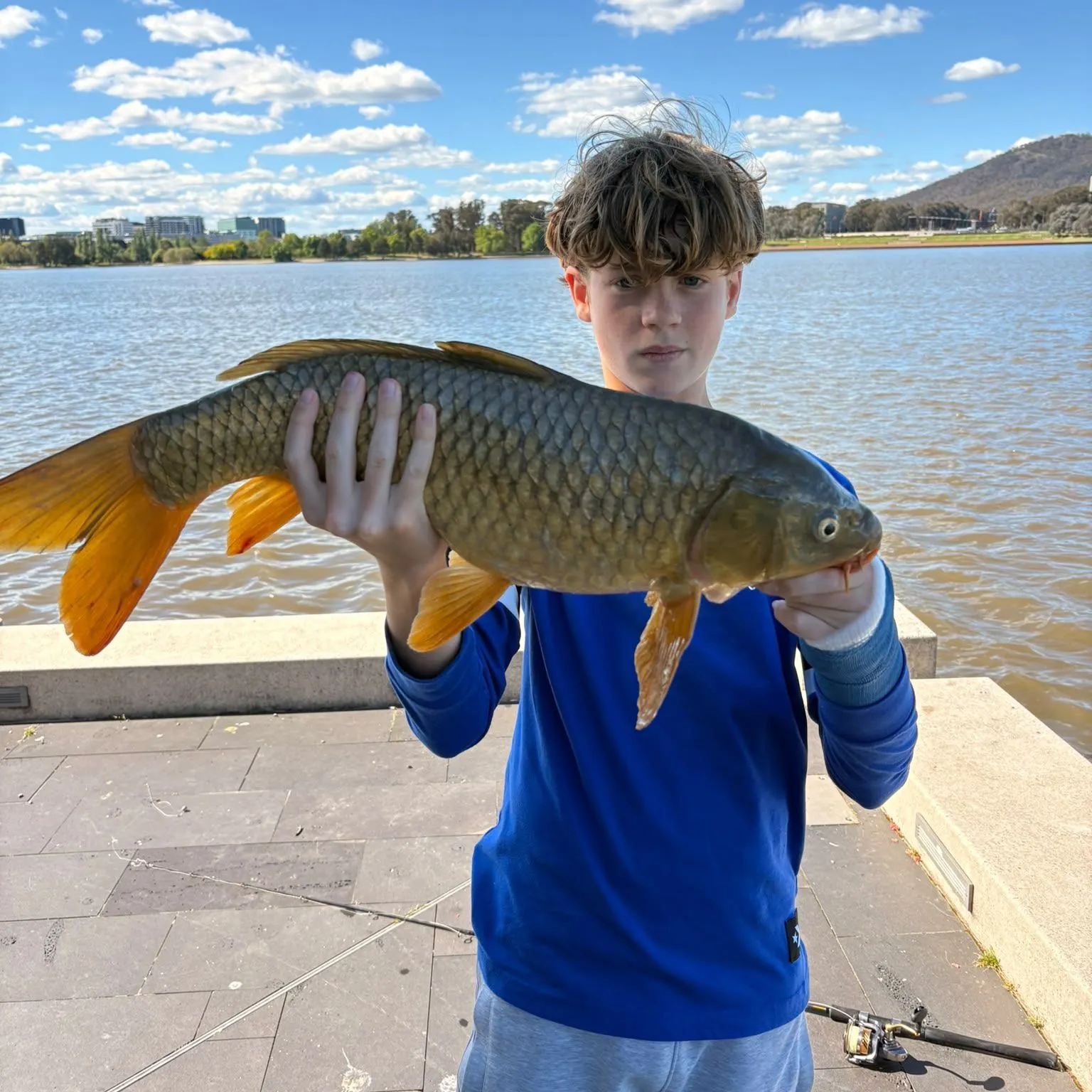 Common carp caught on Fishbrain