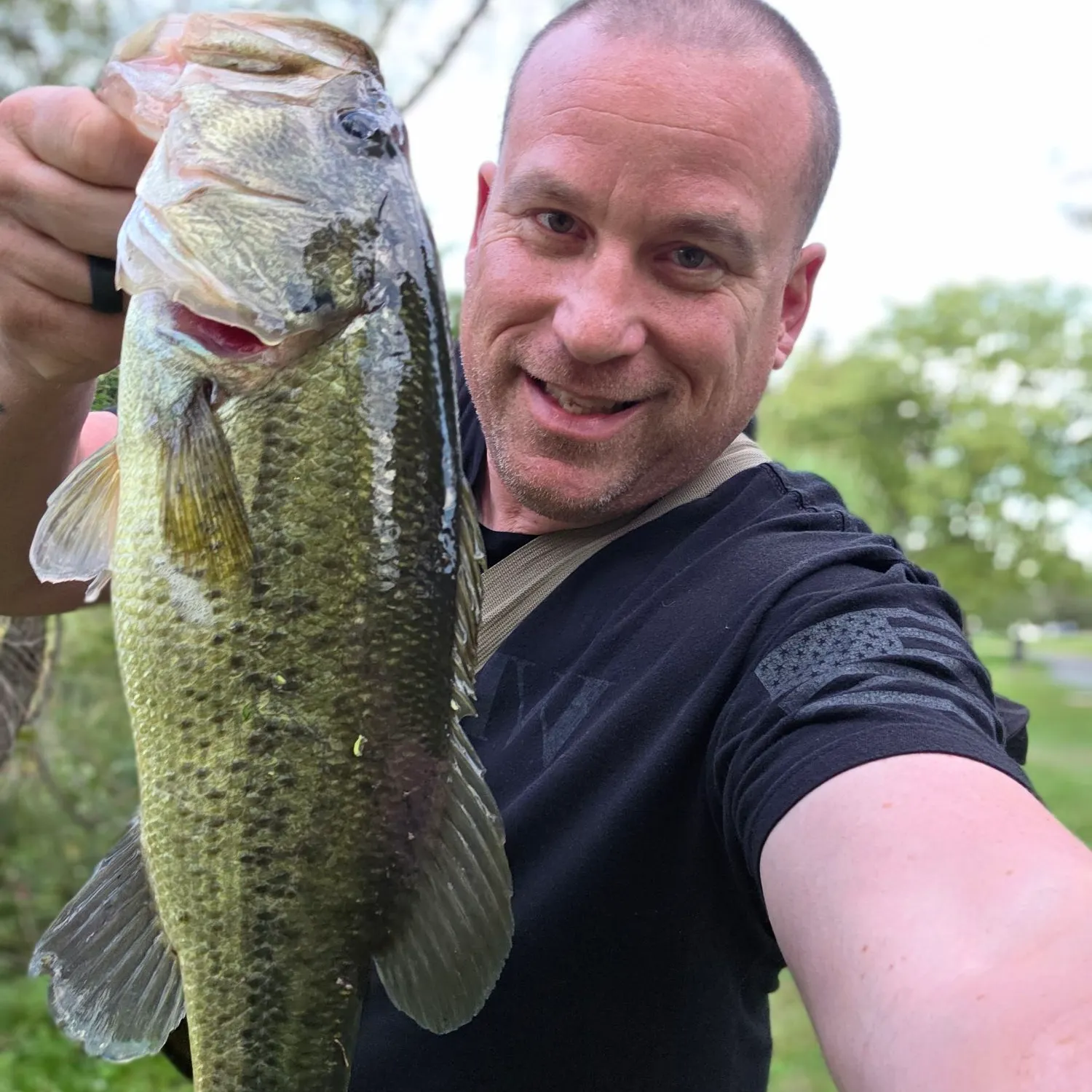 Largemouth bass caught on Fishbrain