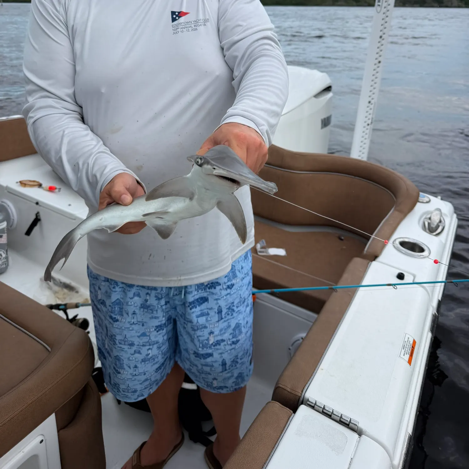 Scalloped hammerhead shark caught on Fishbrain