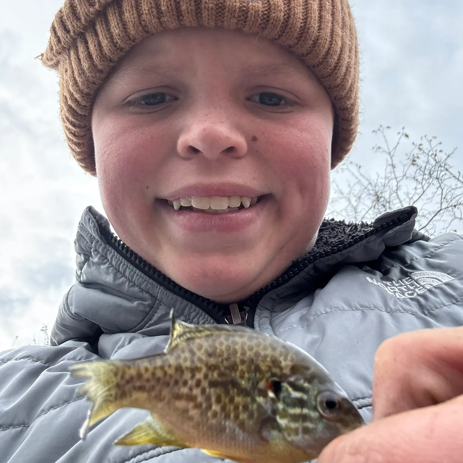 The most recent Pumpkinseed x green sunfish catches on Fishbrain