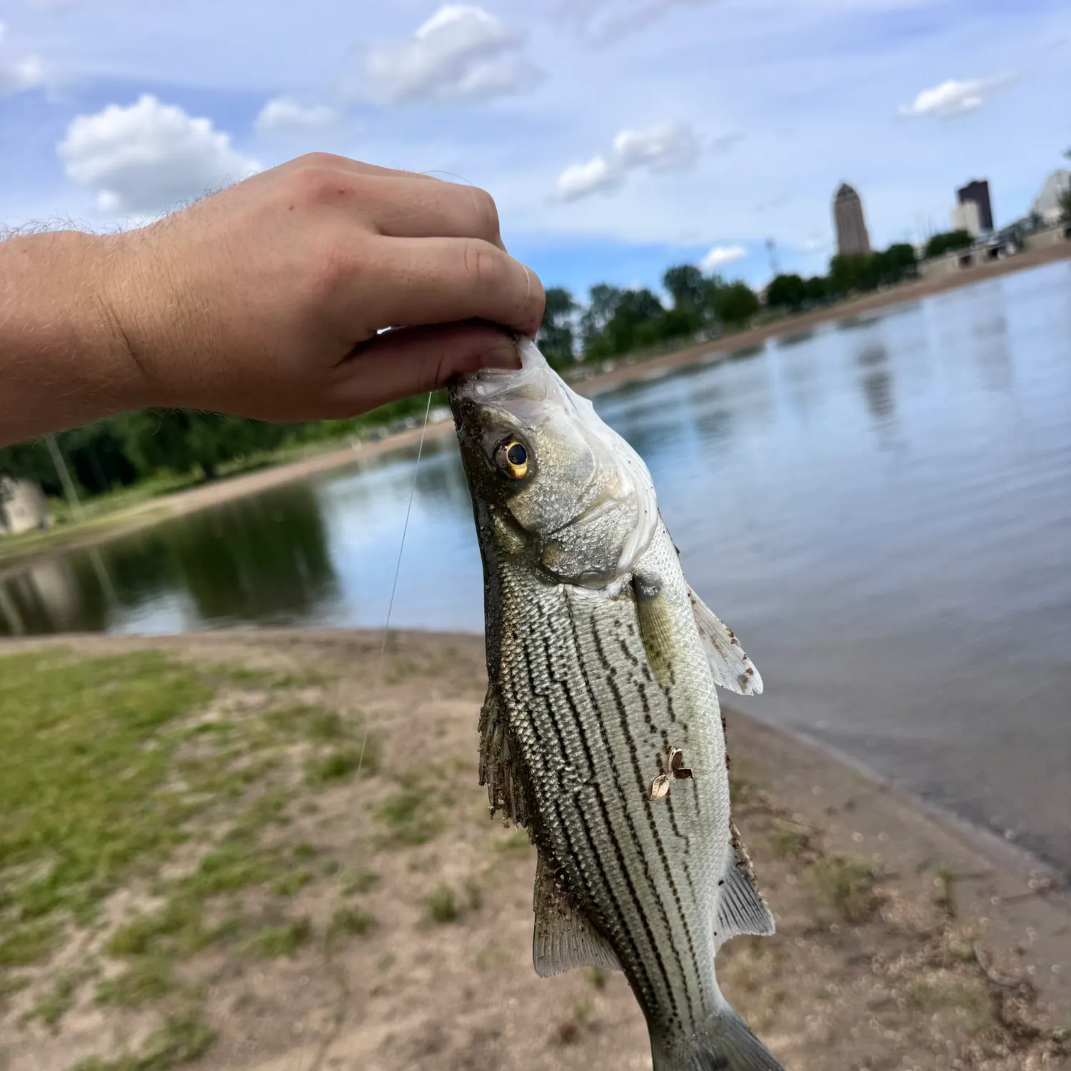 catch