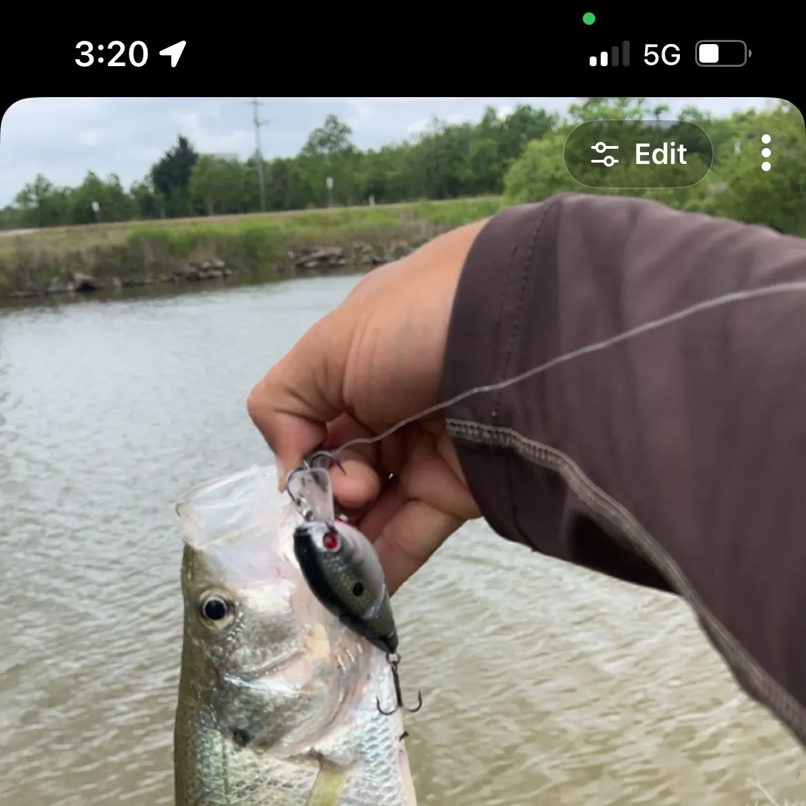 recently logged catches