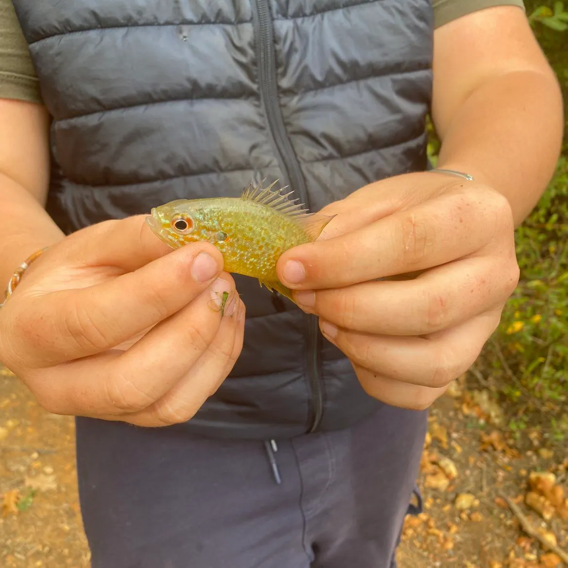 Fish caught on Fishbrain