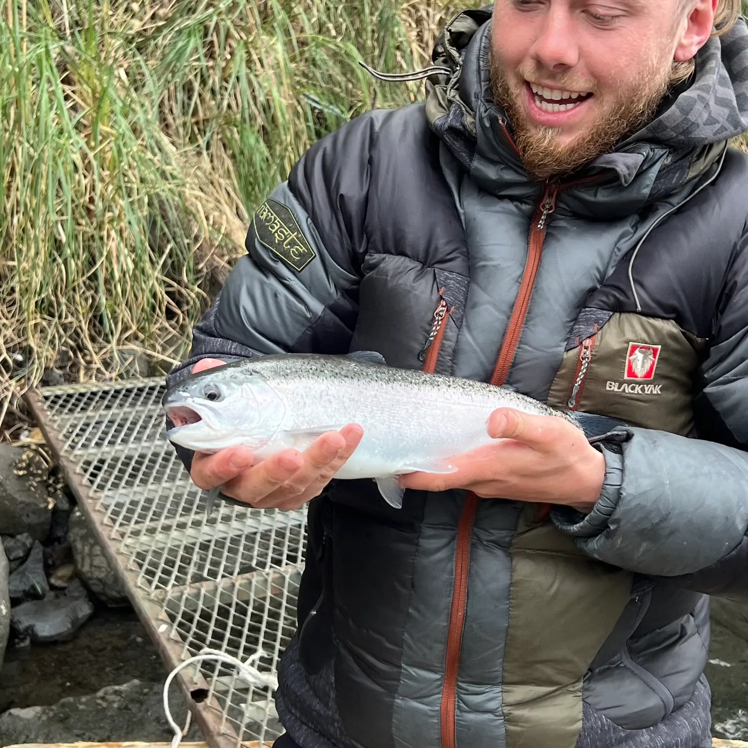Coho salmon caught on Fishbrain