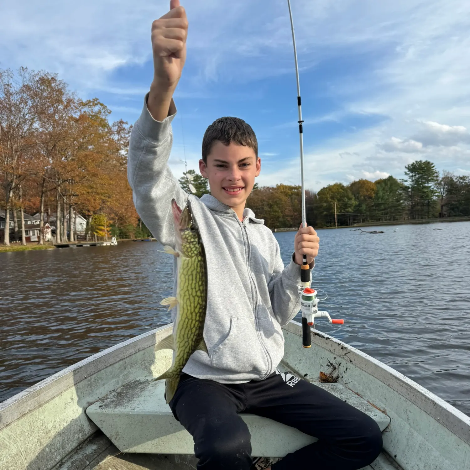 Chain pickerel caught on Fishbrain