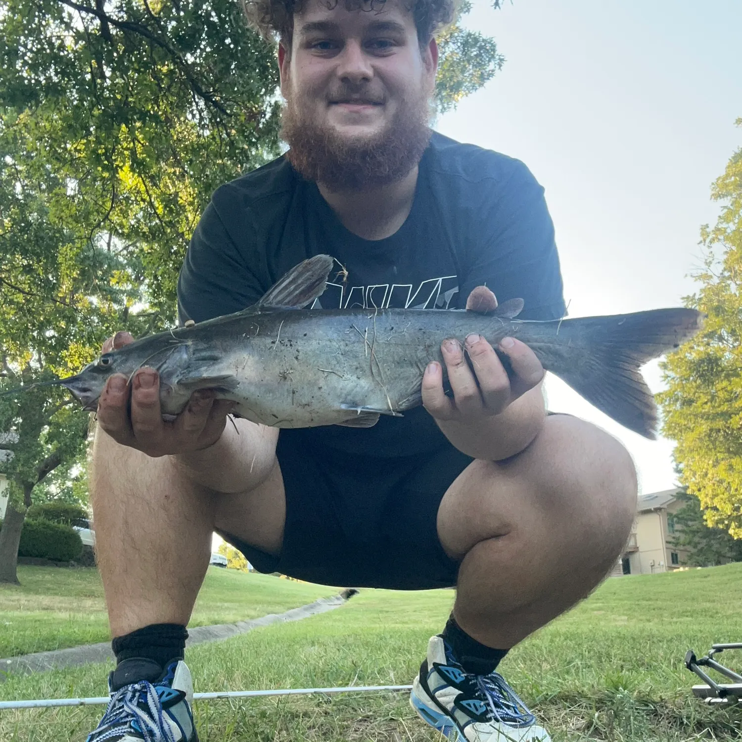 Channel catfish caught on Fishbrain