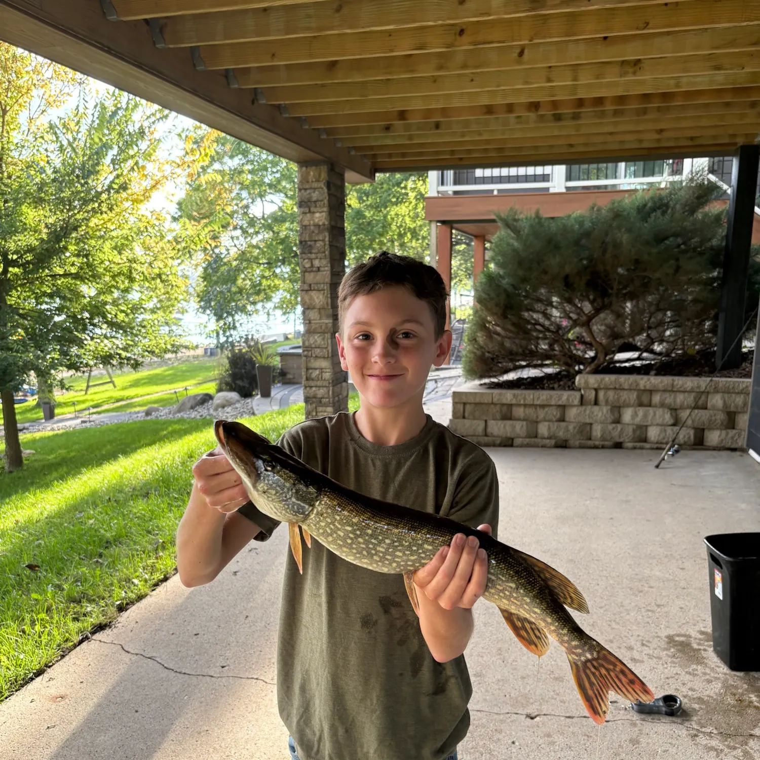 Northern pike caught on Fishbrain