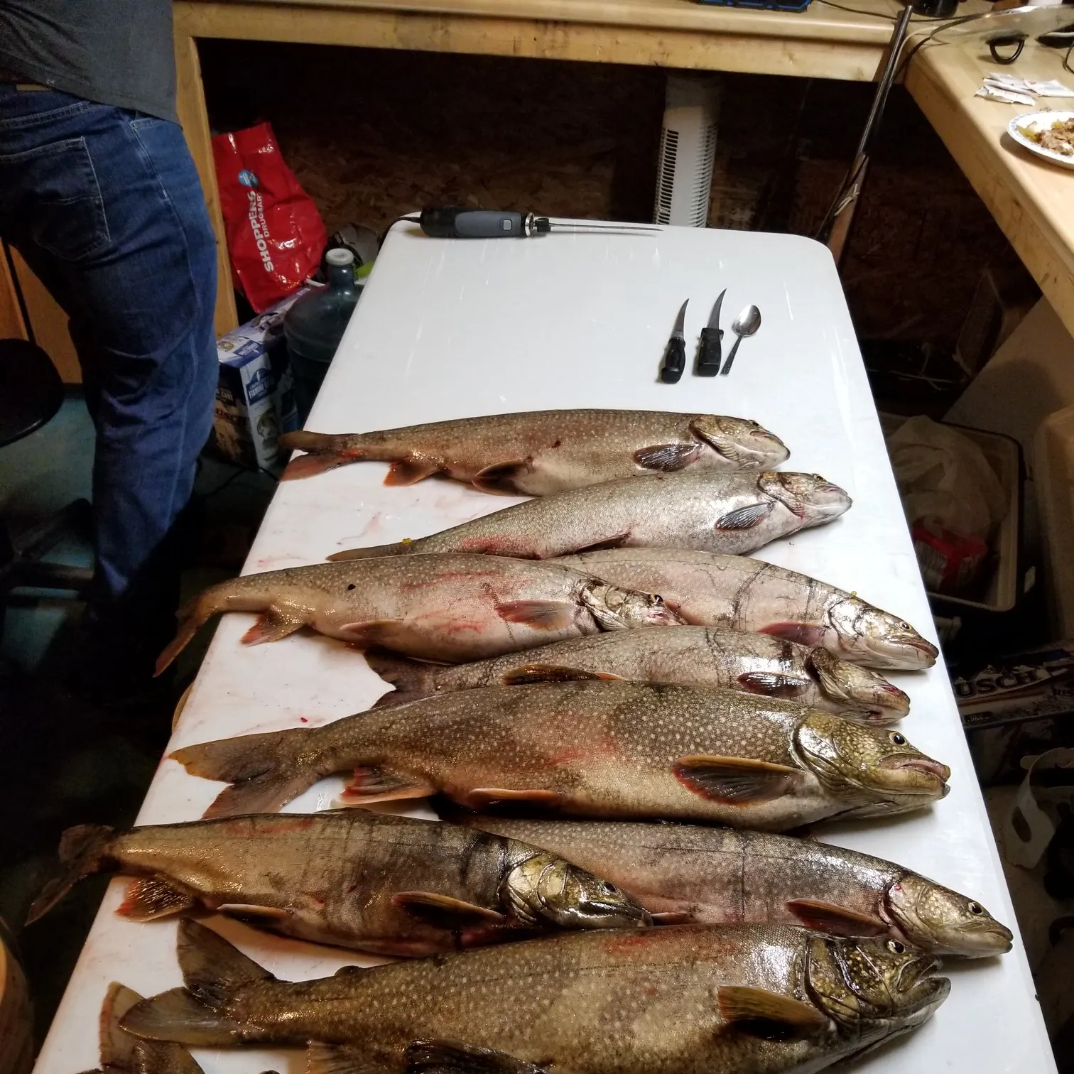 recently logged catches