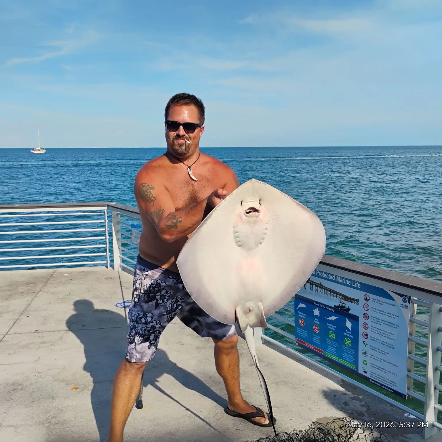 The most recent Southern stingray catches on Fishbrain