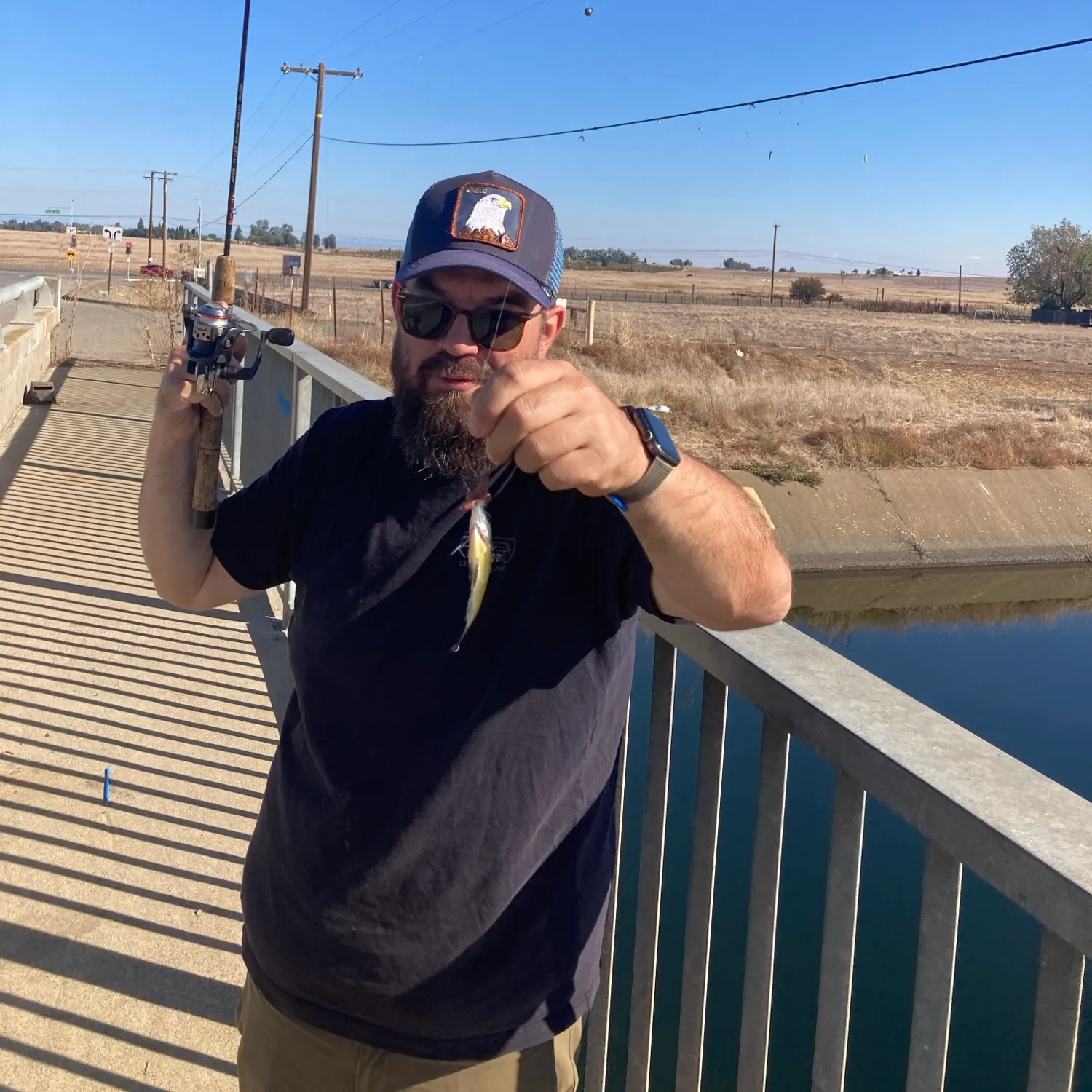 Redear sunfish caught on Fishbrain