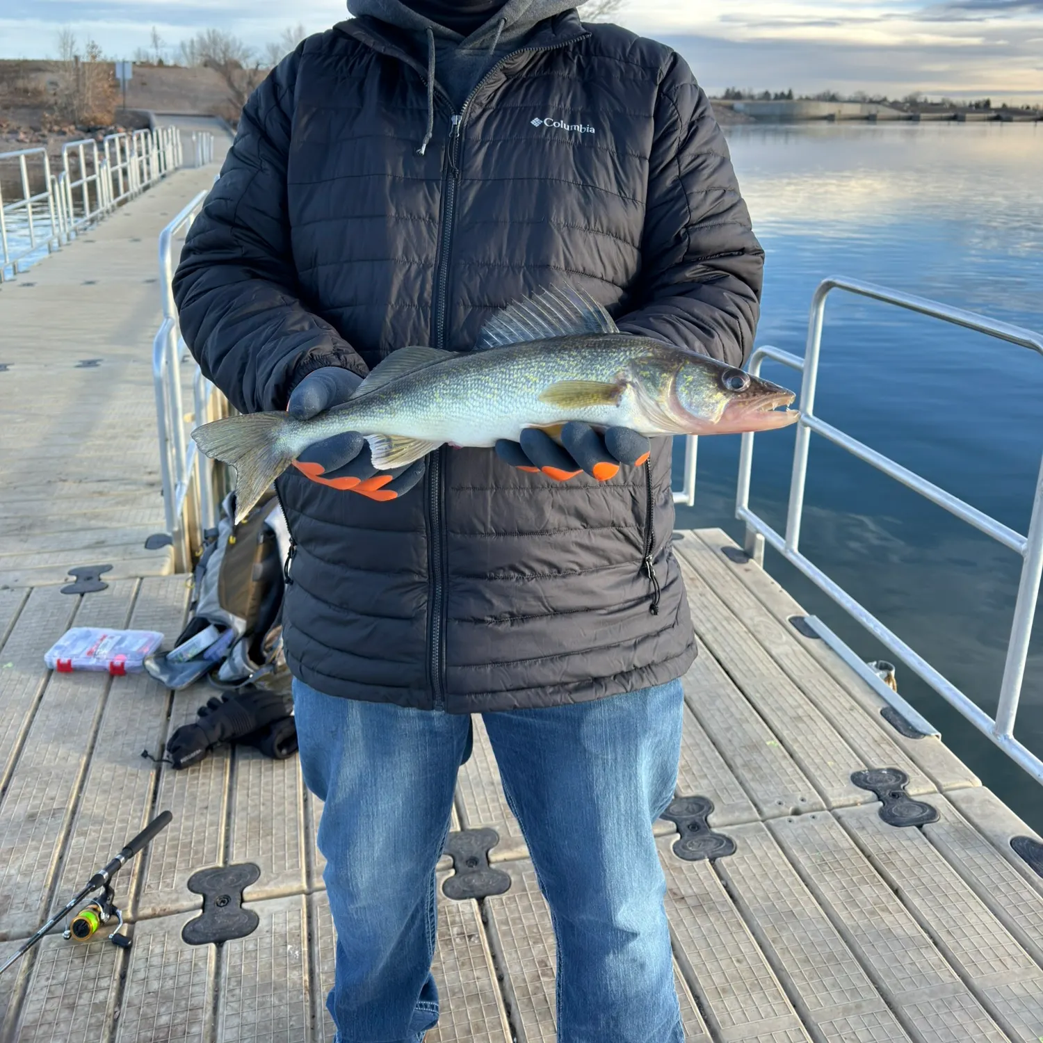 The most recent Walleye catches on Fishbrain