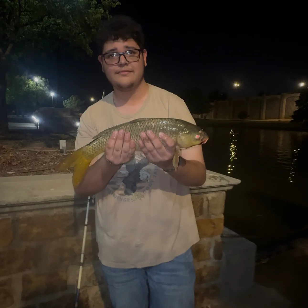 Common carp caught on Fishbrain