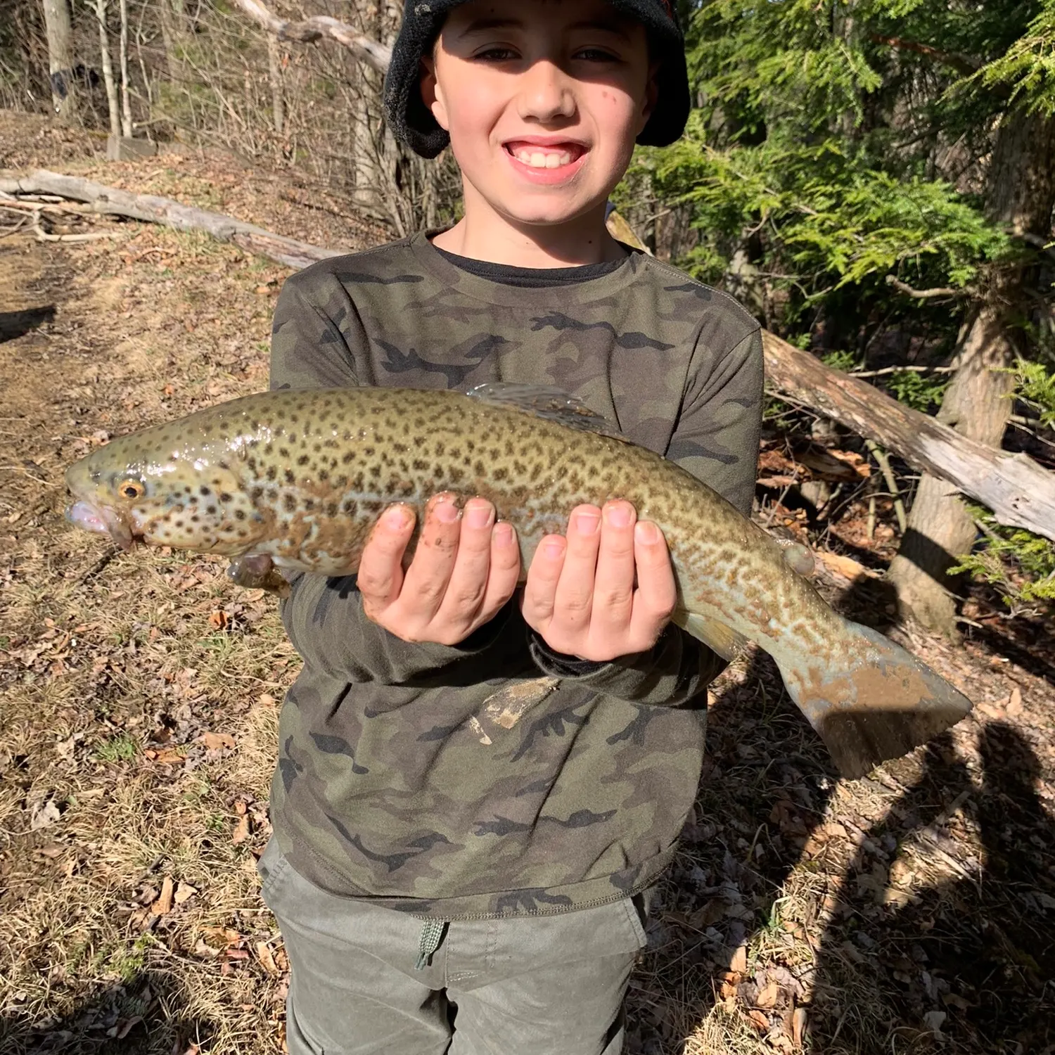 Brown trout caught on Fishbrain