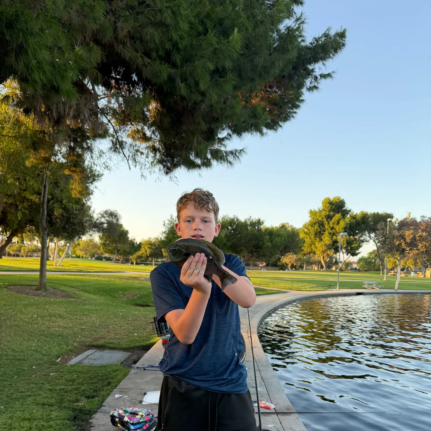 Bluegill caught on Fishbrain