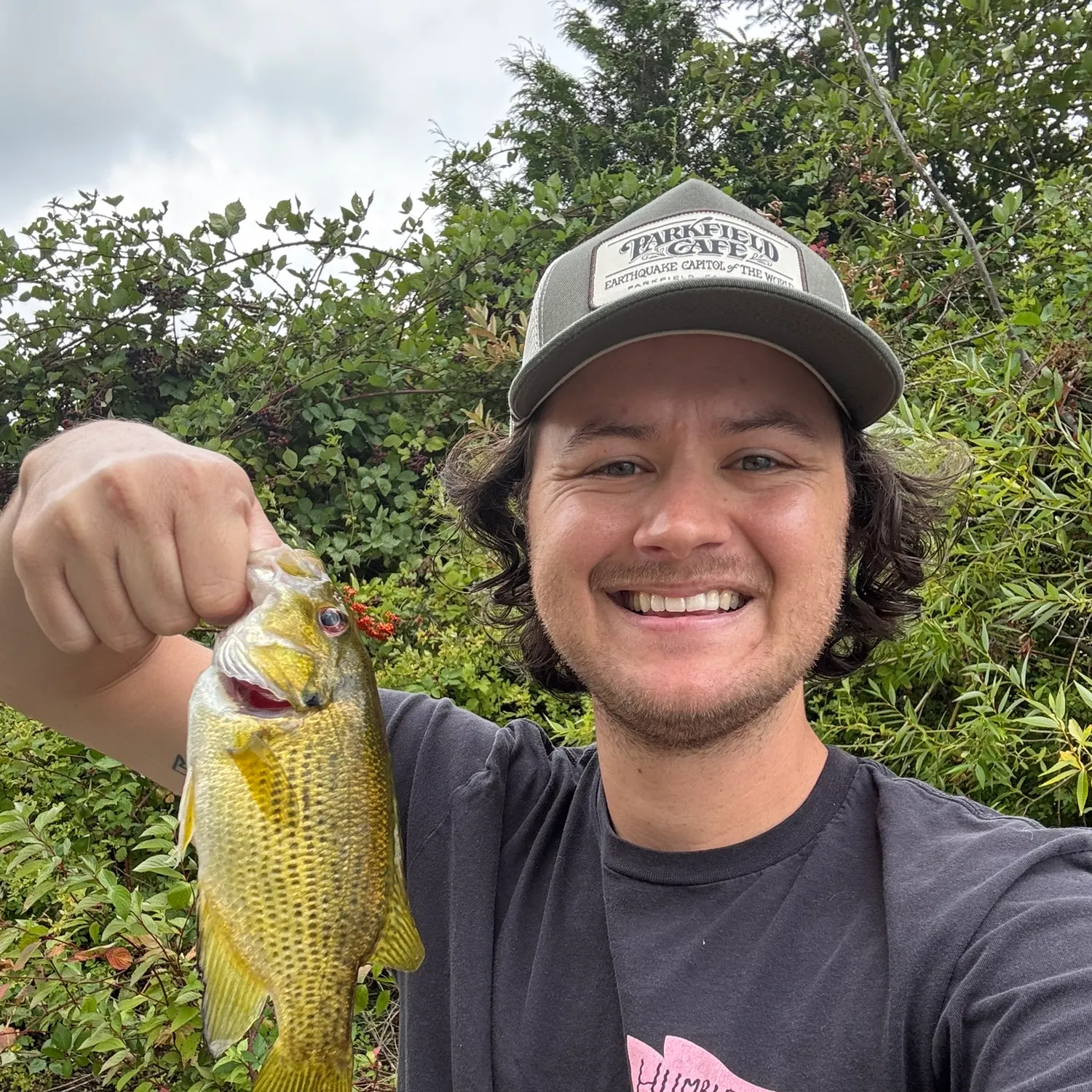 Rock bass caught on Fishbrain