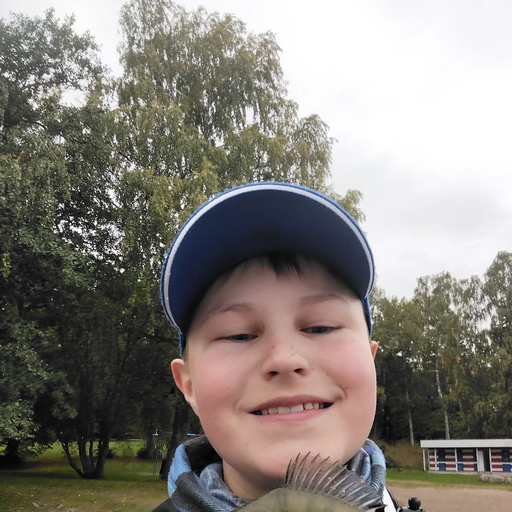 European perch caught on Fishbrain