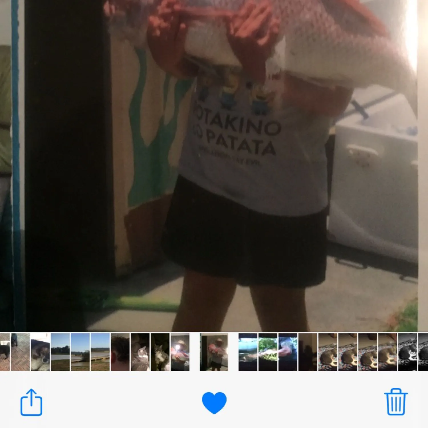 recently logged catches