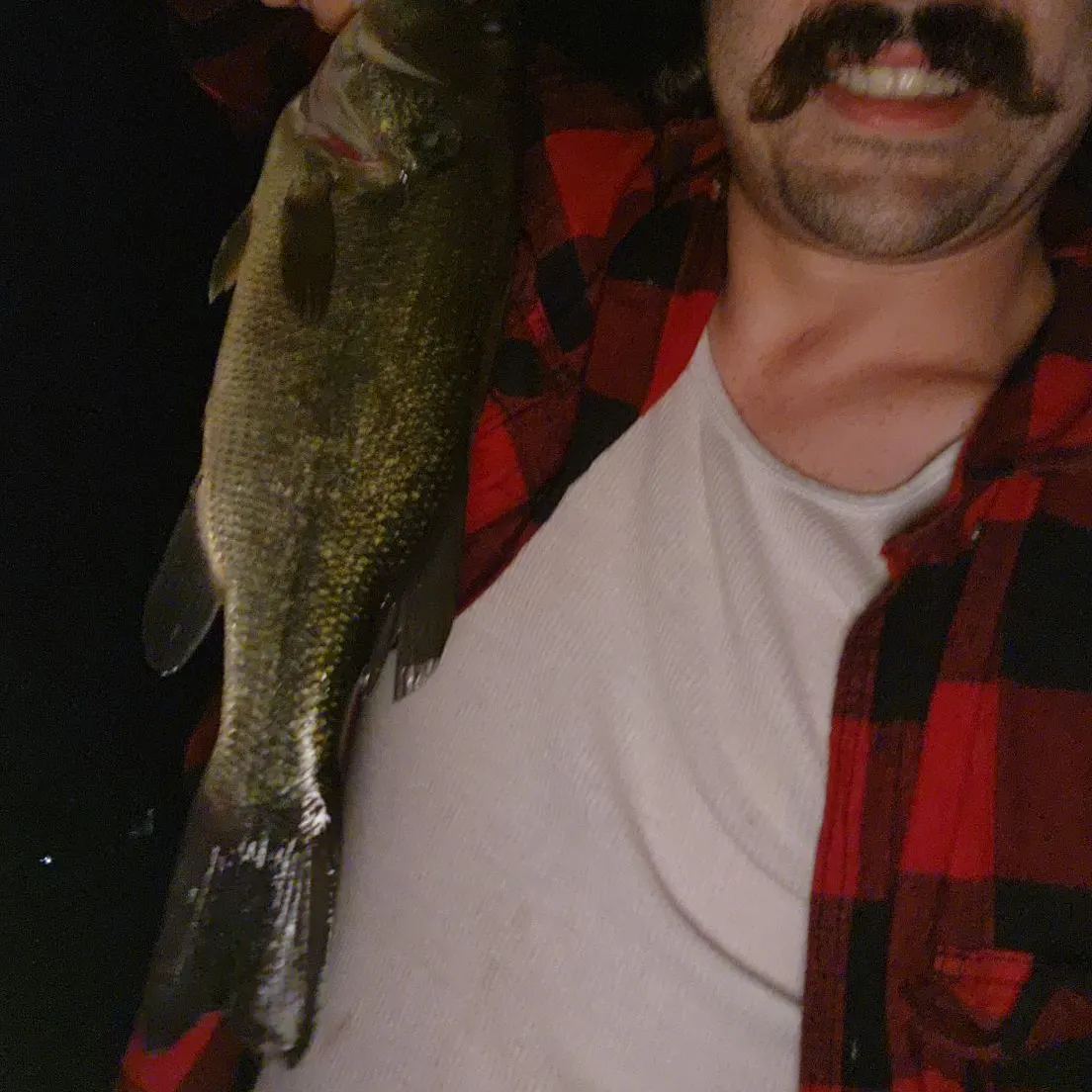 Largemouth bass caught on Fishbrain
