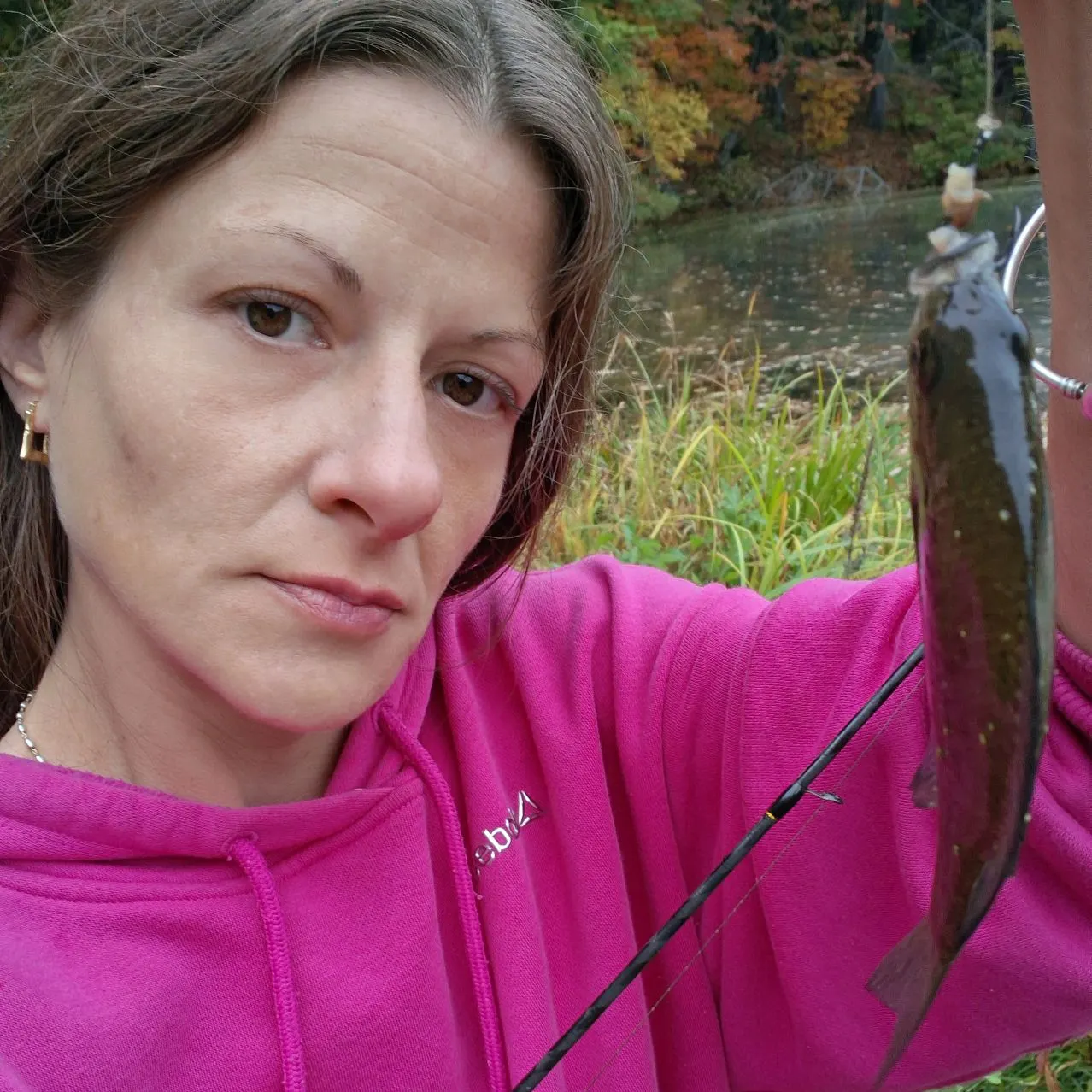 Yellow perch caught on Fishbrain