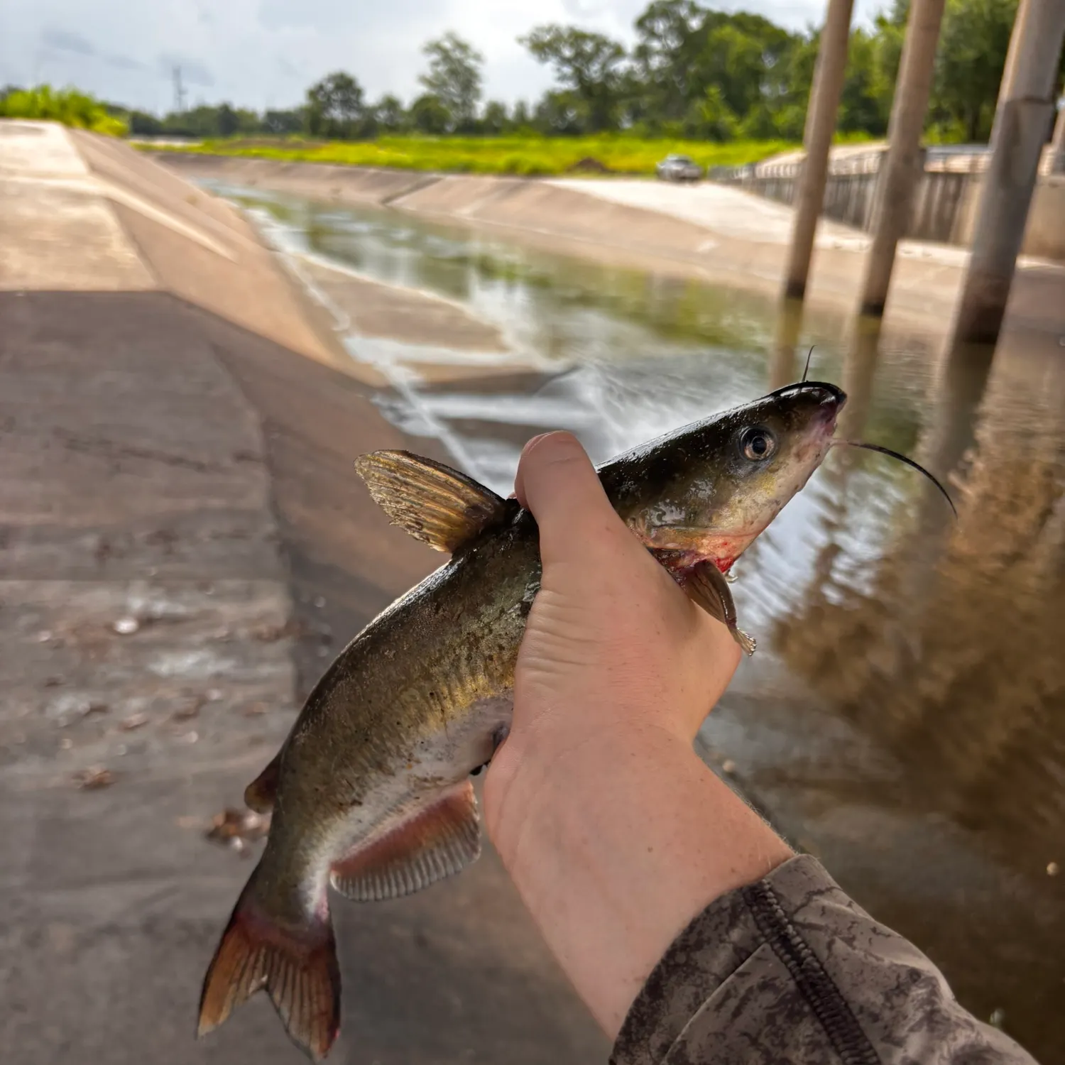 catch