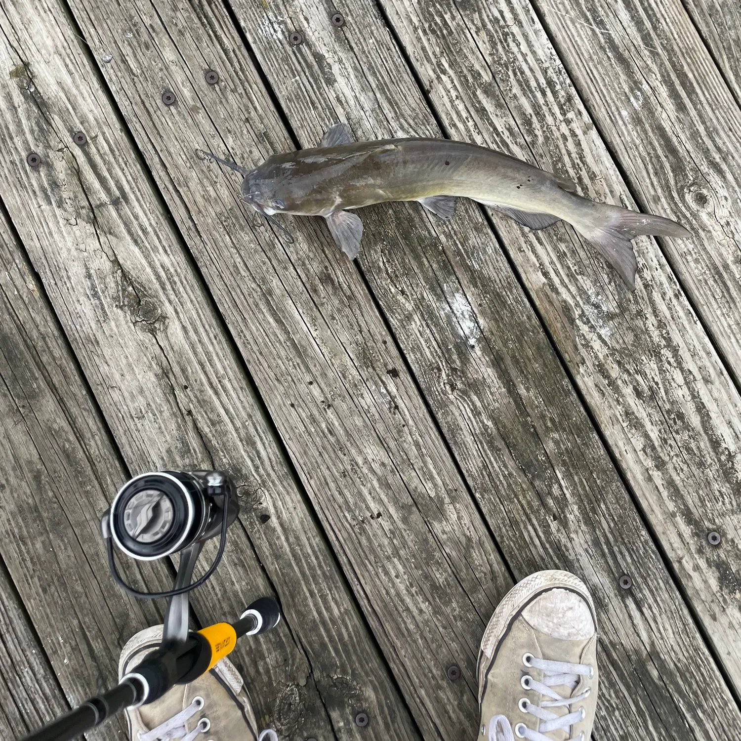 catch