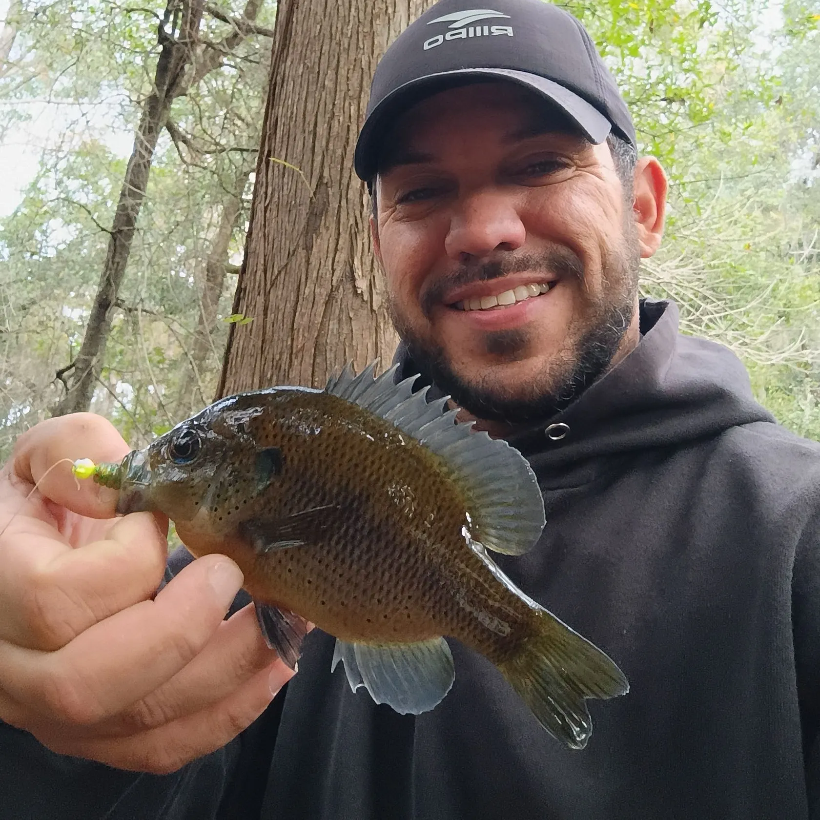 The most recent Spotted sunfish catches on Fishbrain