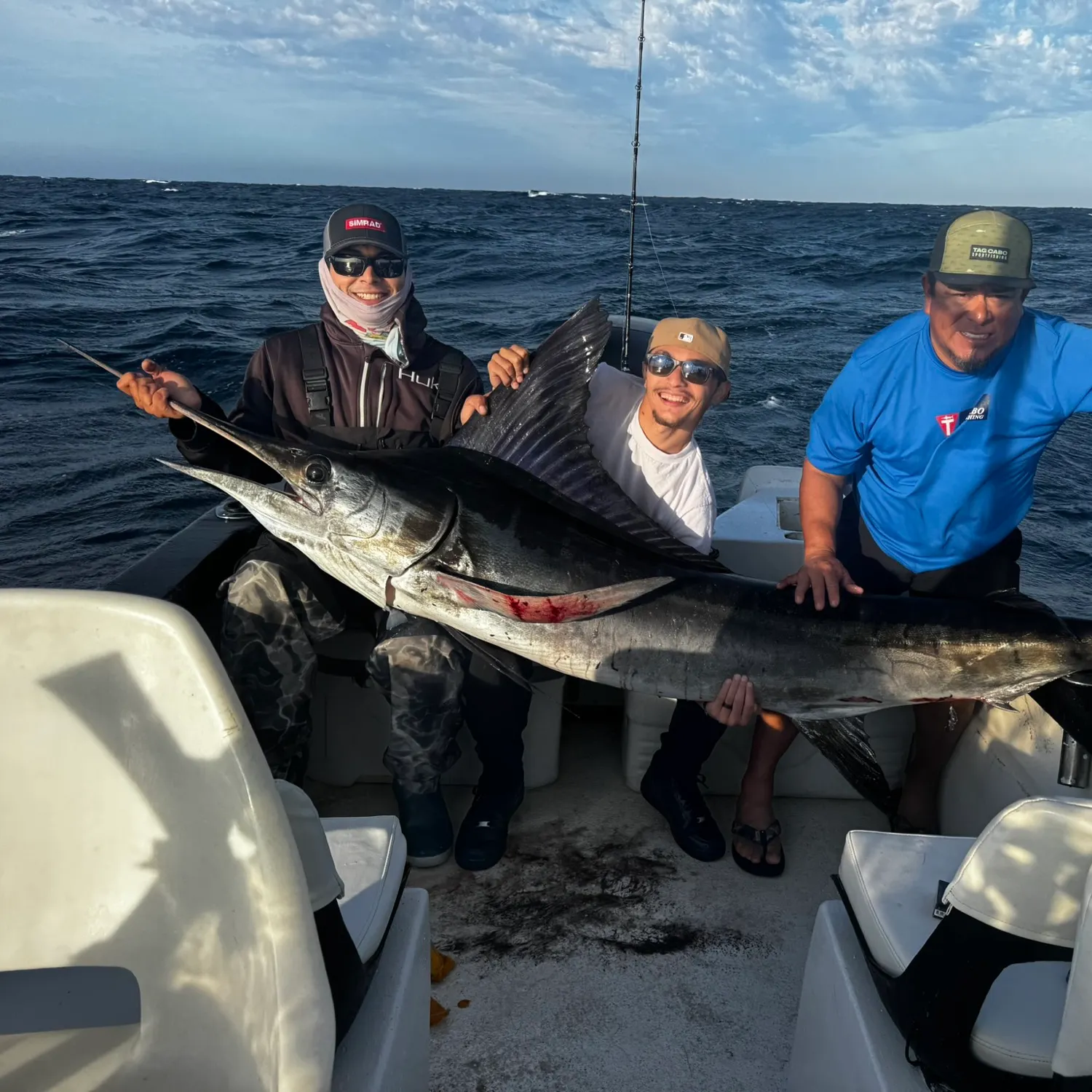 The most recent Striped marlin catches on Fishbrain