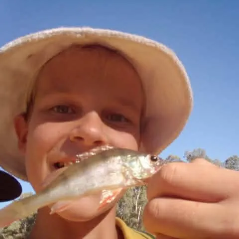 The most recent European eel catches on Fishbrain