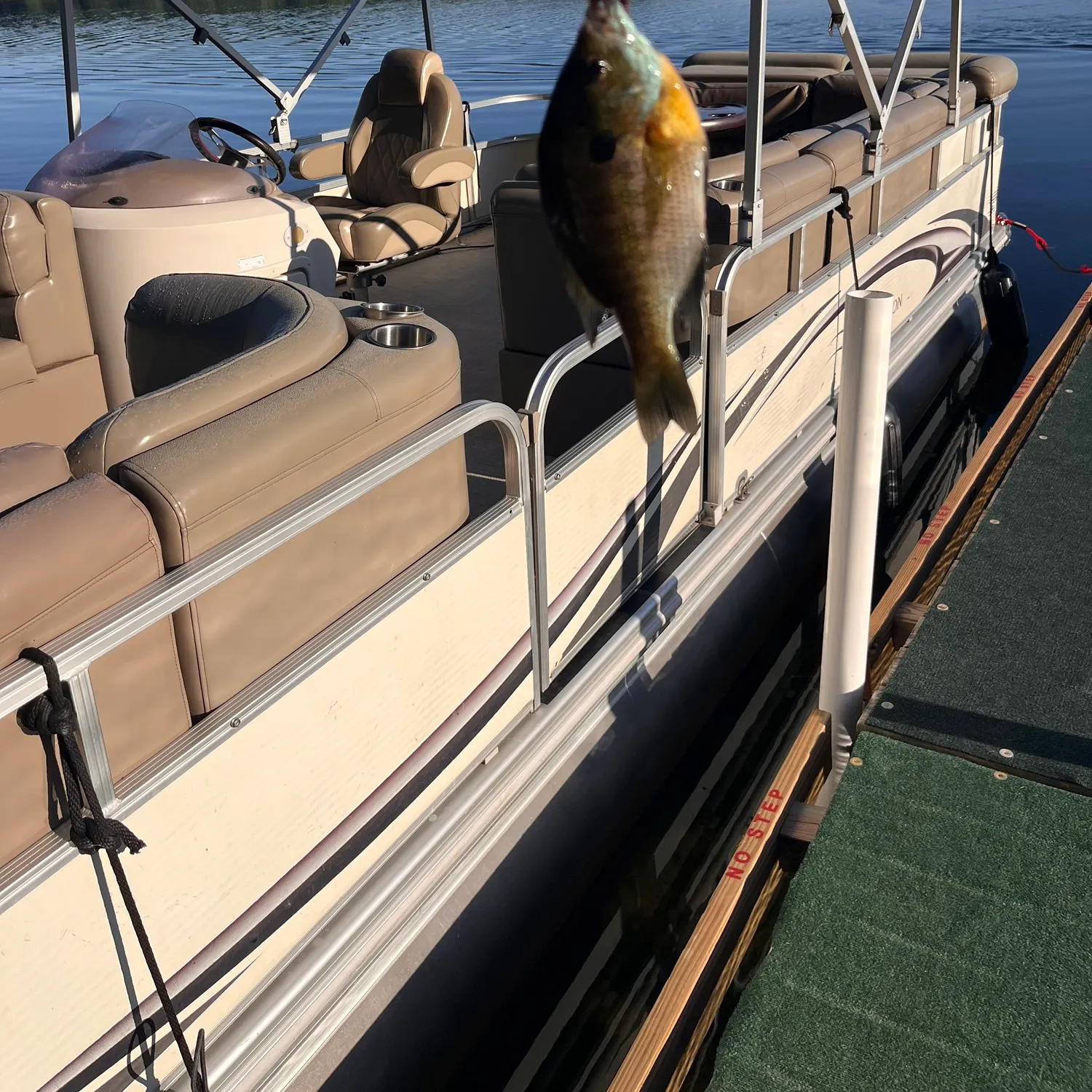 Fish caught on Fishbrain