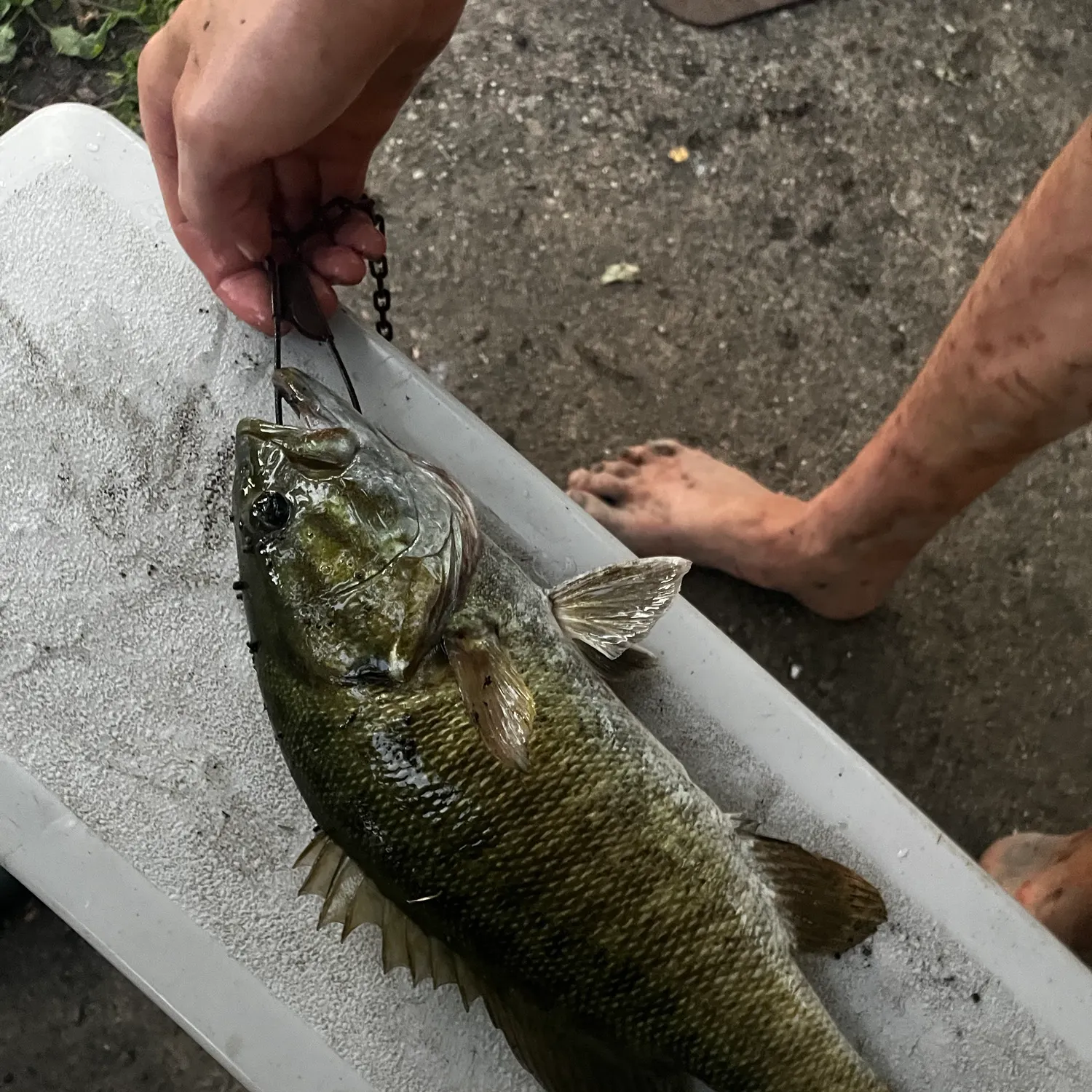 catch