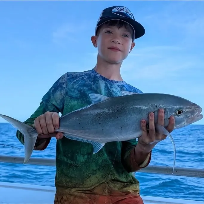 The most recent Bludger catches on Fishbrain