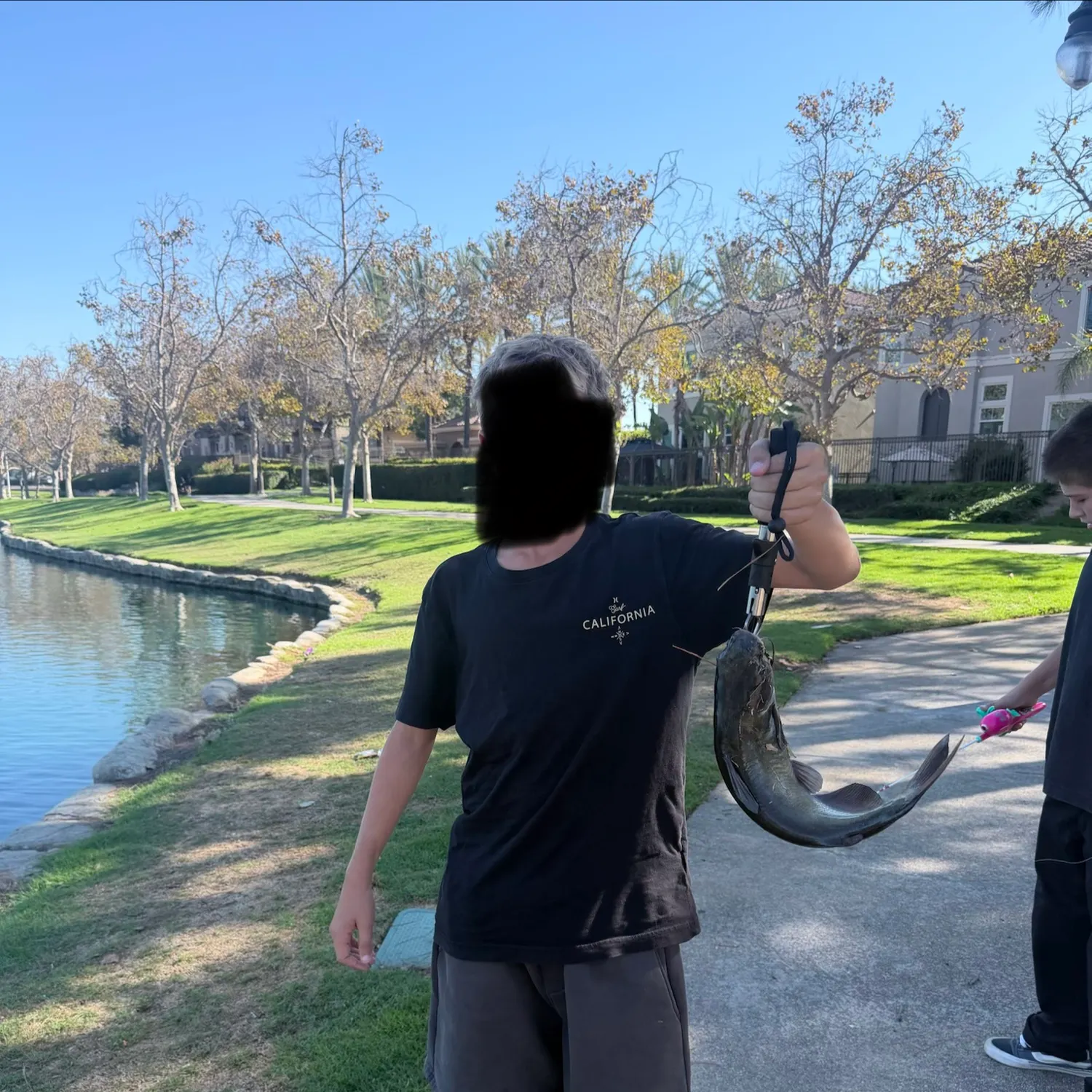 Channel catfish caught on Fishbrain