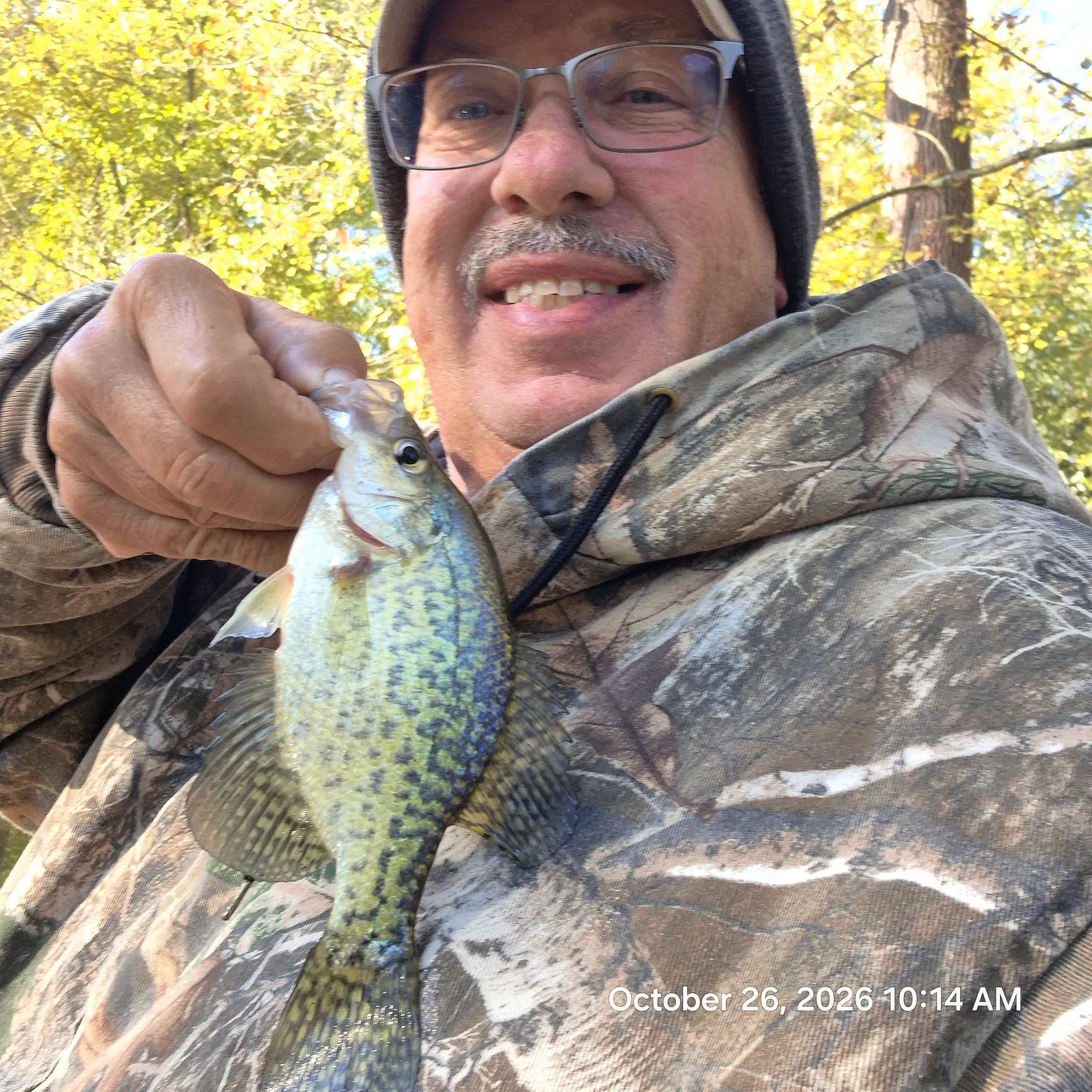 Black crappie caught on Fishbrain