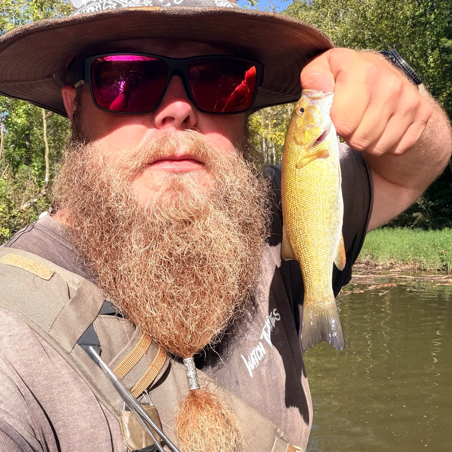 Smallmouth bass caught on Fishbrain