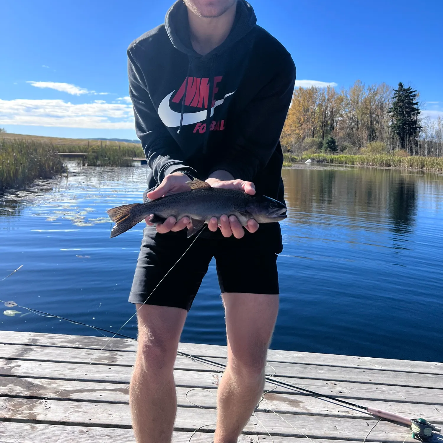 Rainbow trout caught on Fishbrain