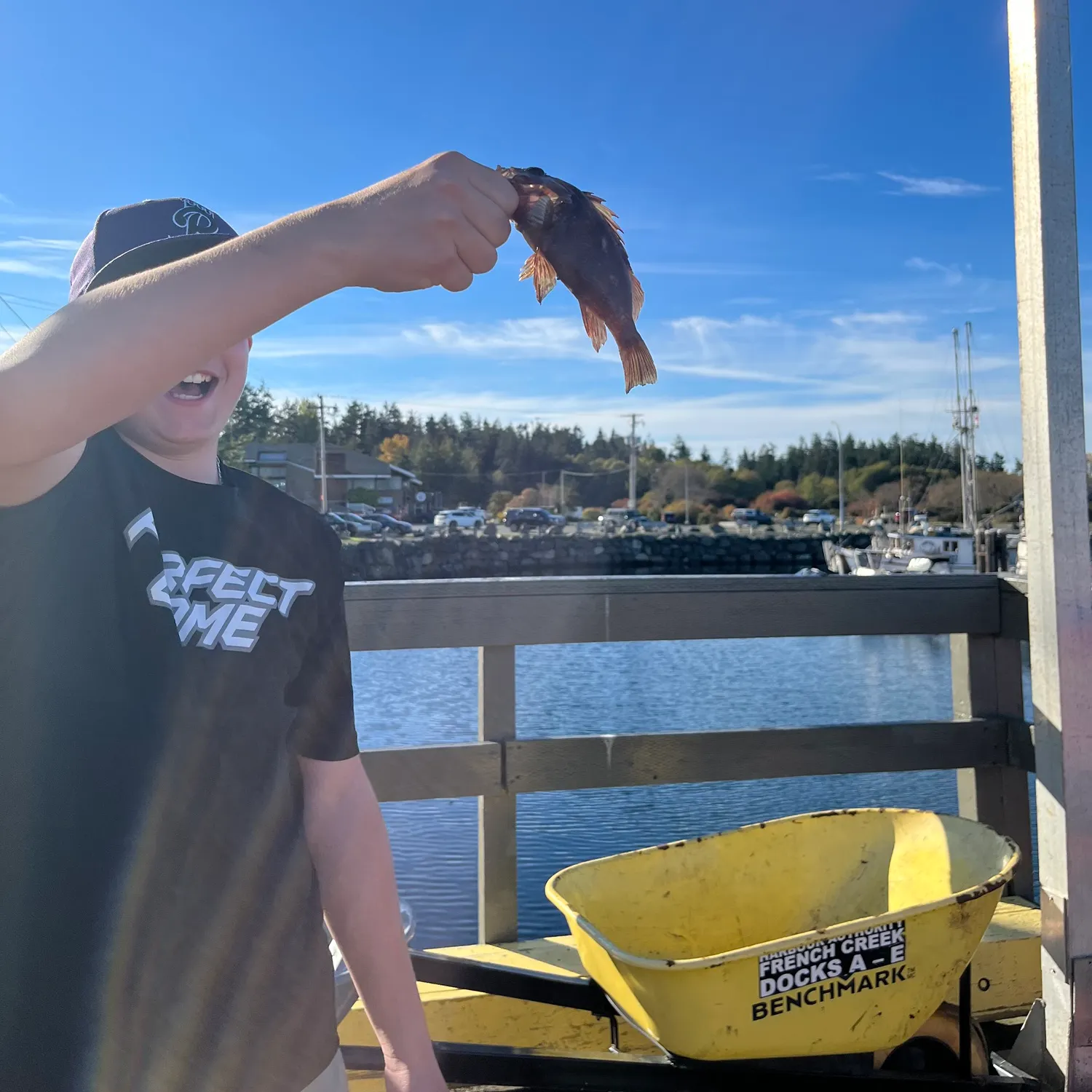 Copper rockfish caught on Fishbrain