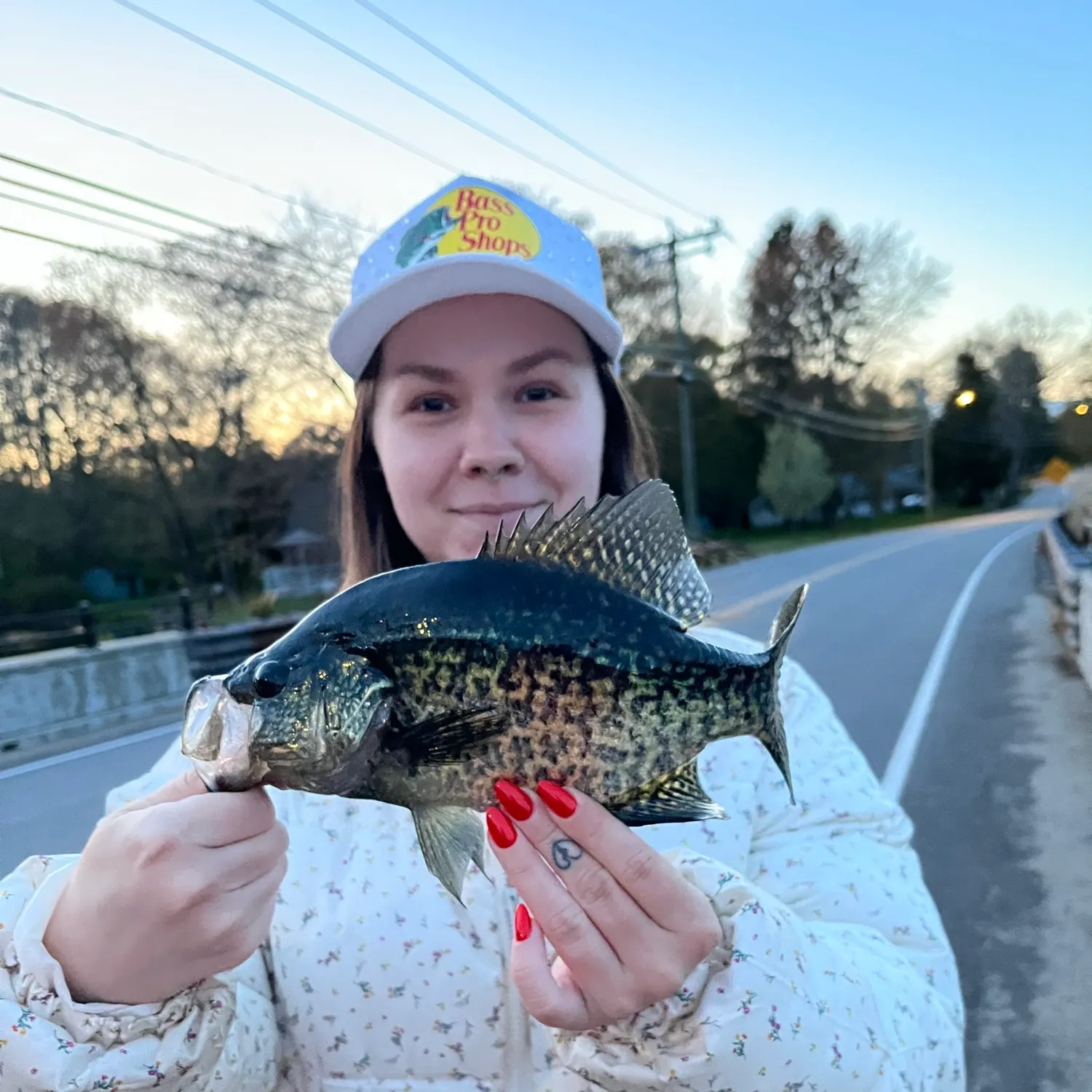 recently logged catches