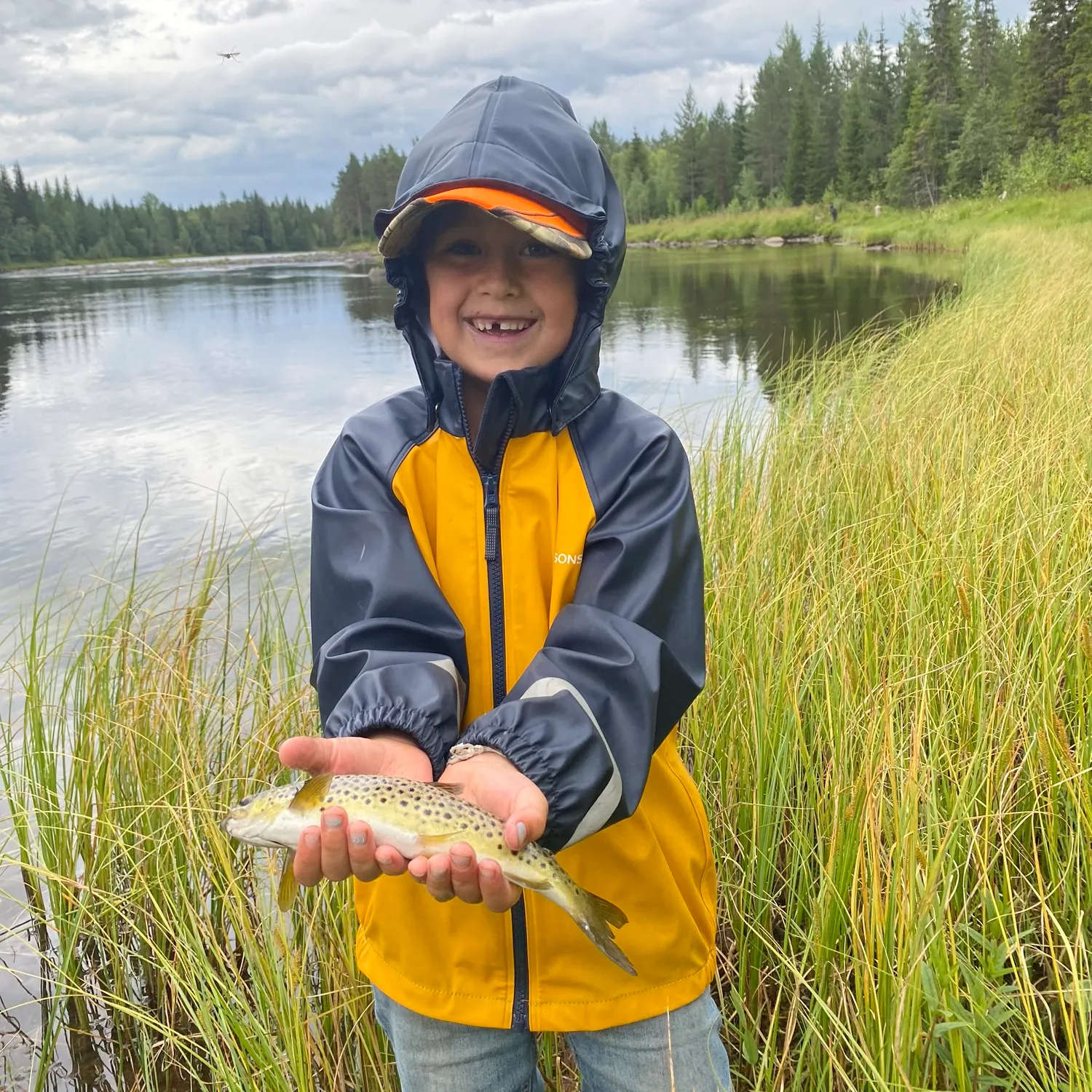 Brown trout caught on Fishbrain