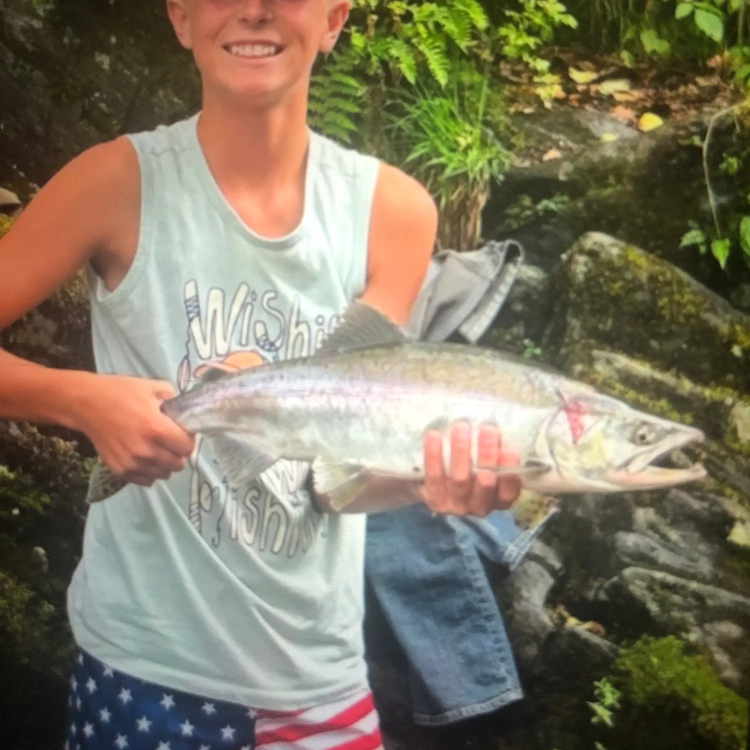 The most recent Pink salmon catches on Fishbrain