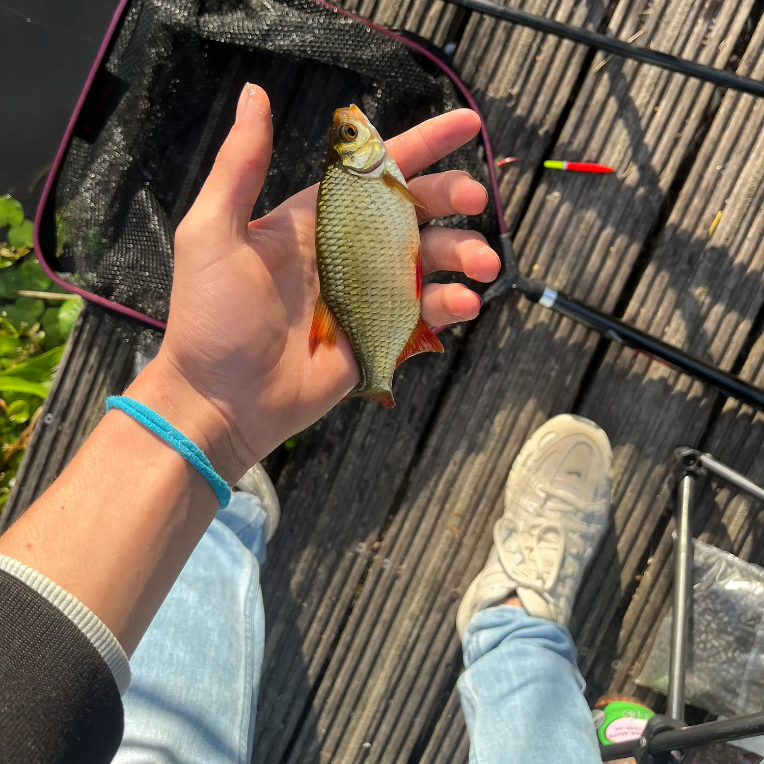 catch