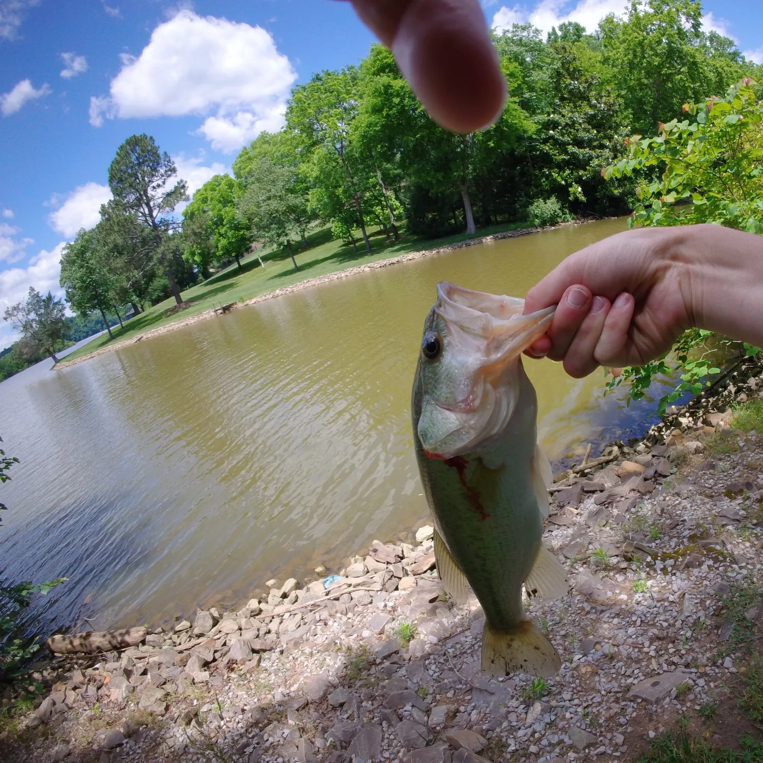 catch