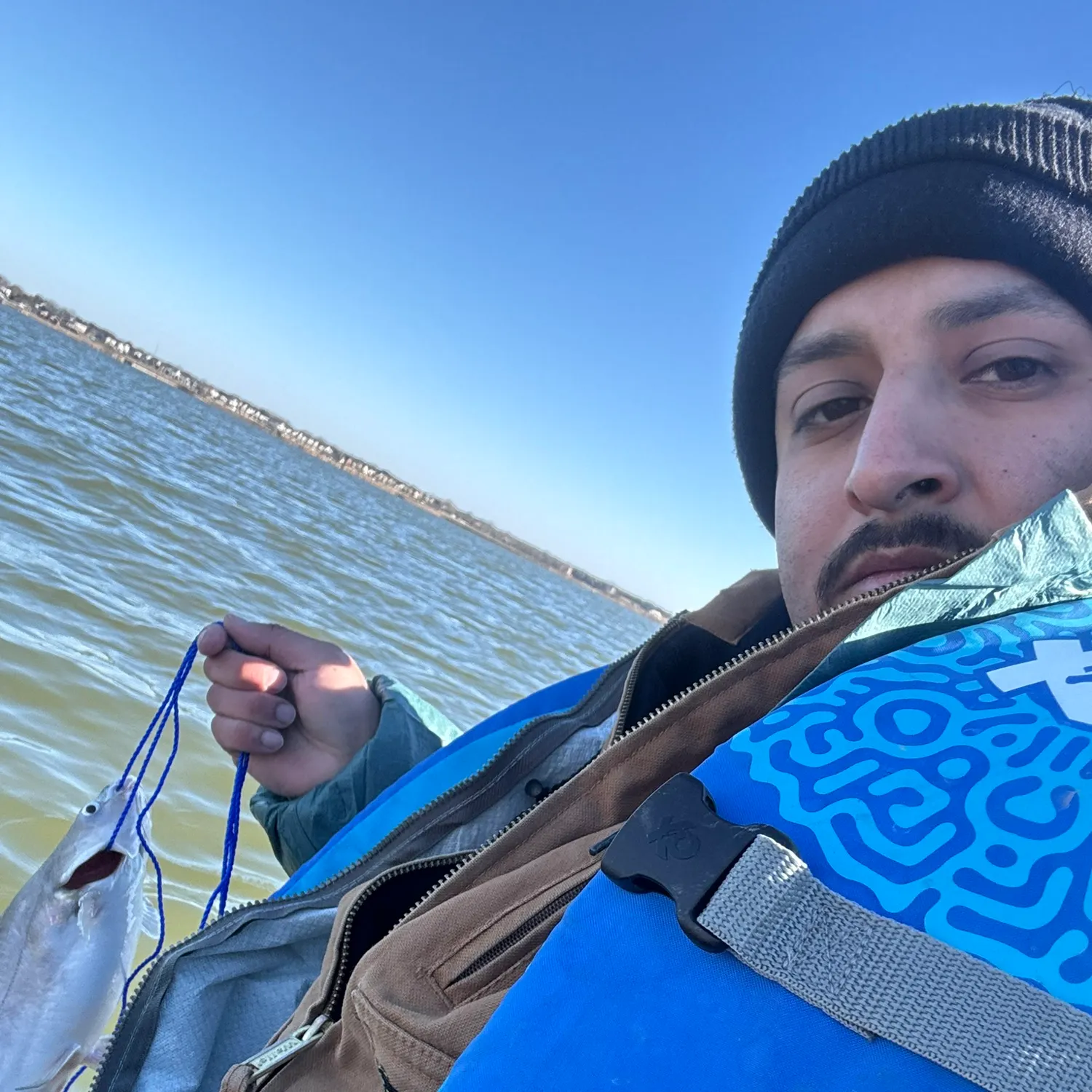 The most recent Blue catfish catches on Fishbrain