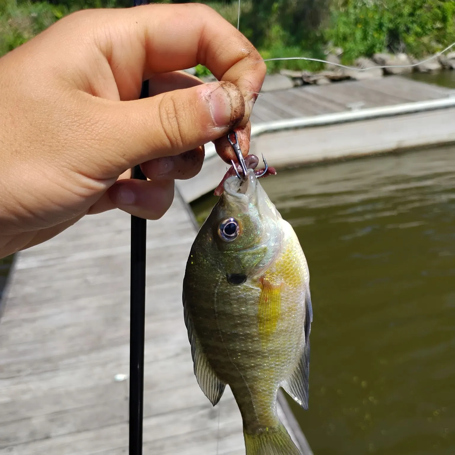 catch
