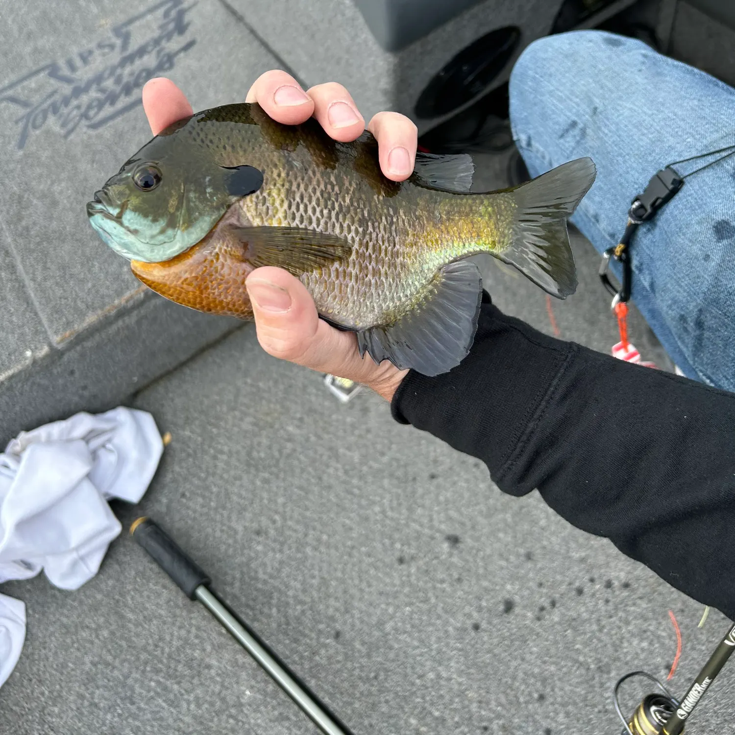 angler catch